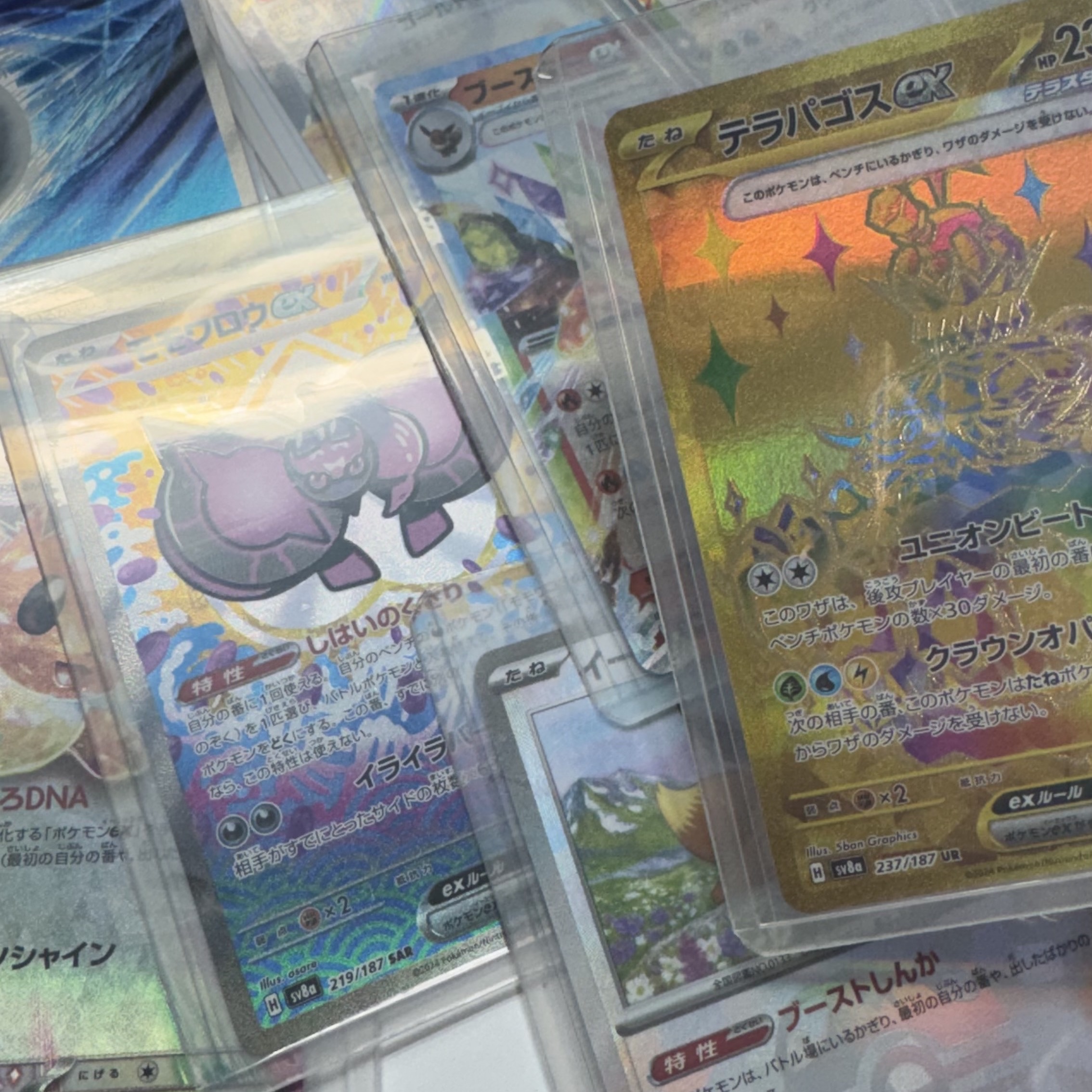 Pokemon TCG Terapagos ex UR Stellar Miracle (Japanese Ver.), Pokemon TCG Scarlet & Violet High Class Pack Terastal Fest ex Box (Japanese Ver.) 착용 스타일
