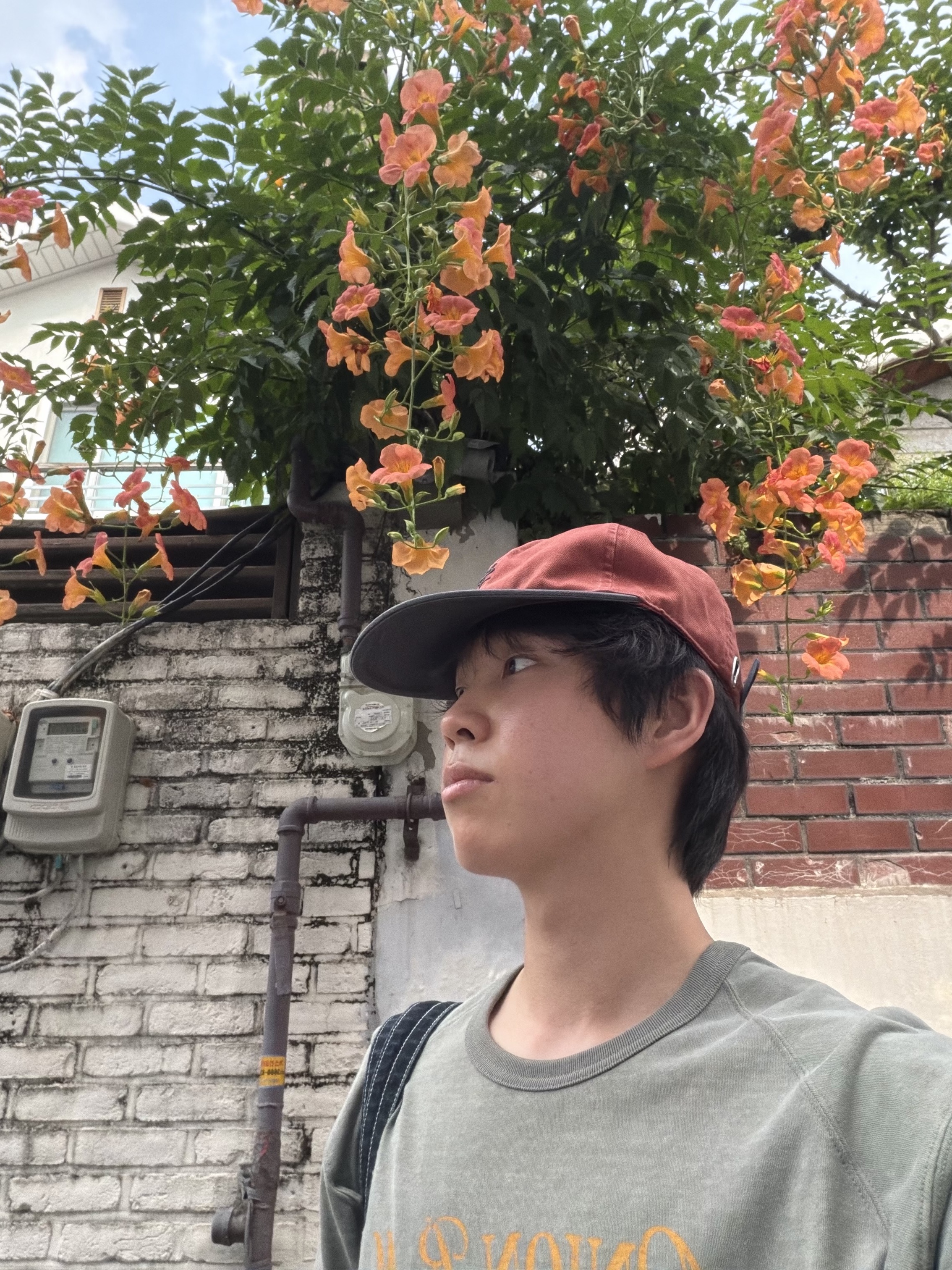 [예약 배송] Sunday Ceremony Old English Vintage Logo Cap - Lavender, Sunday Ceremony Sy Classic Vintage Logo Cap - Red Black 착용 스타일 - 4