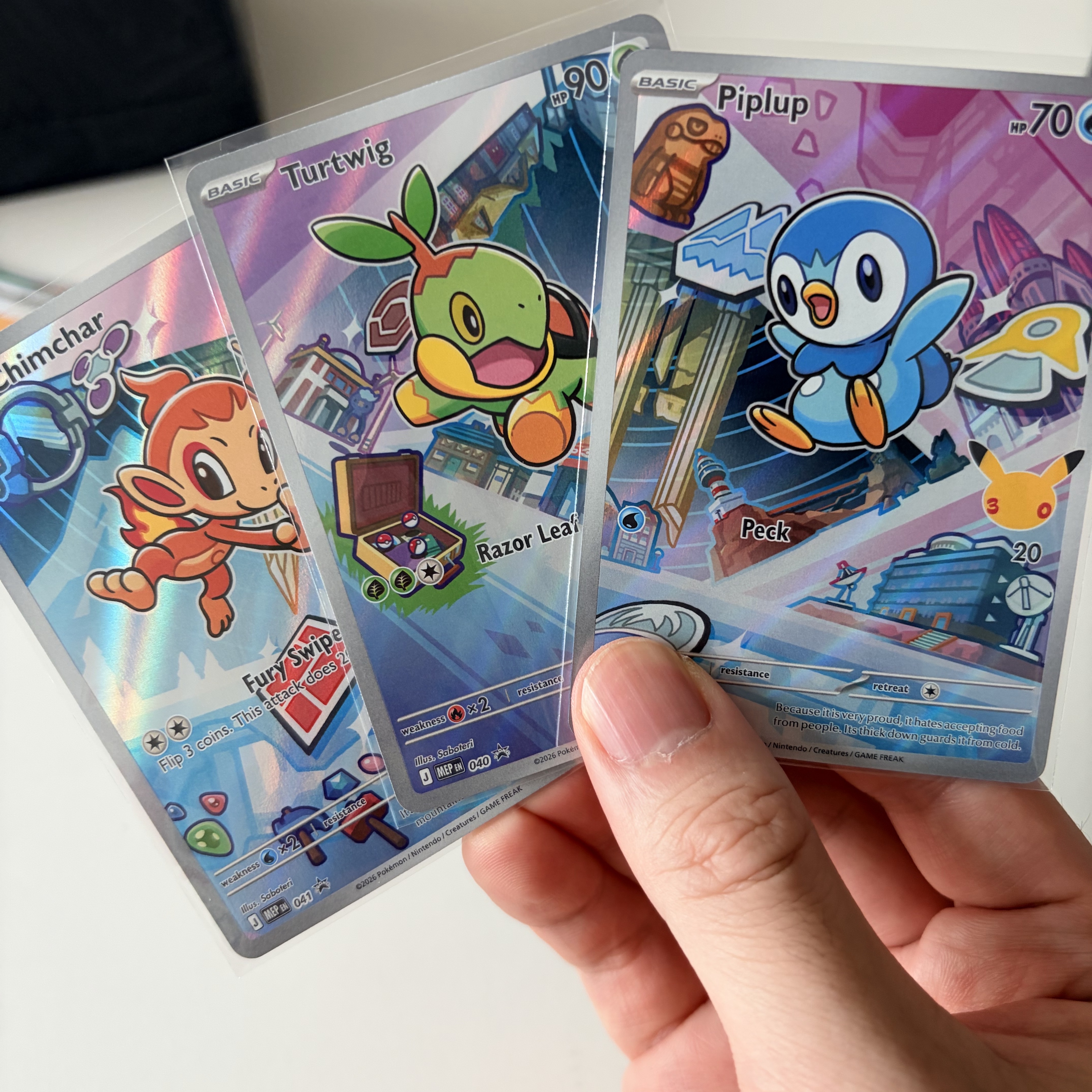 Pokemon TCG First Partner Illustration Collection Series Vol.1 Box (English Ver.) 착용 스타일
