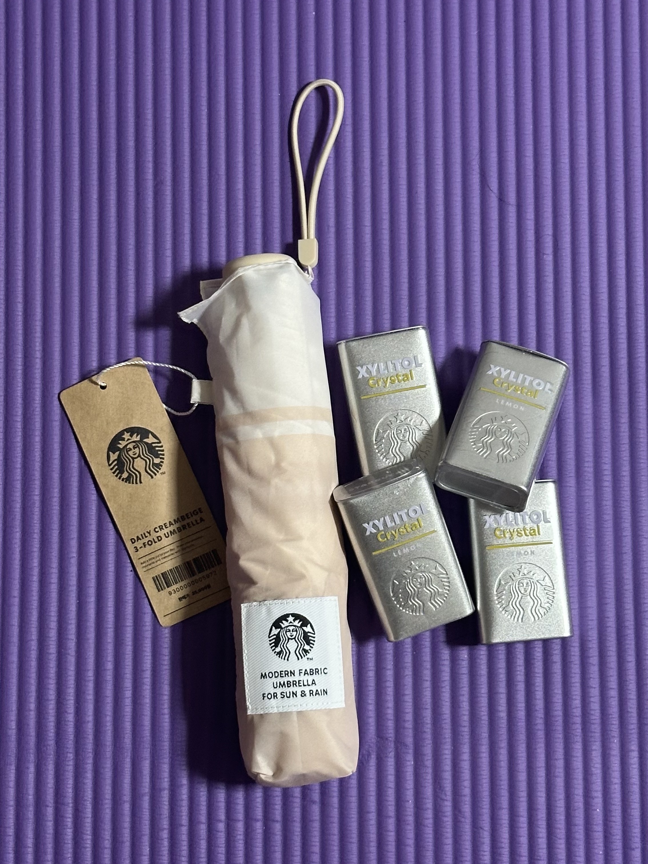 Starbucks Daily 3 Step Umbrella Cream Beige 착용 스타일