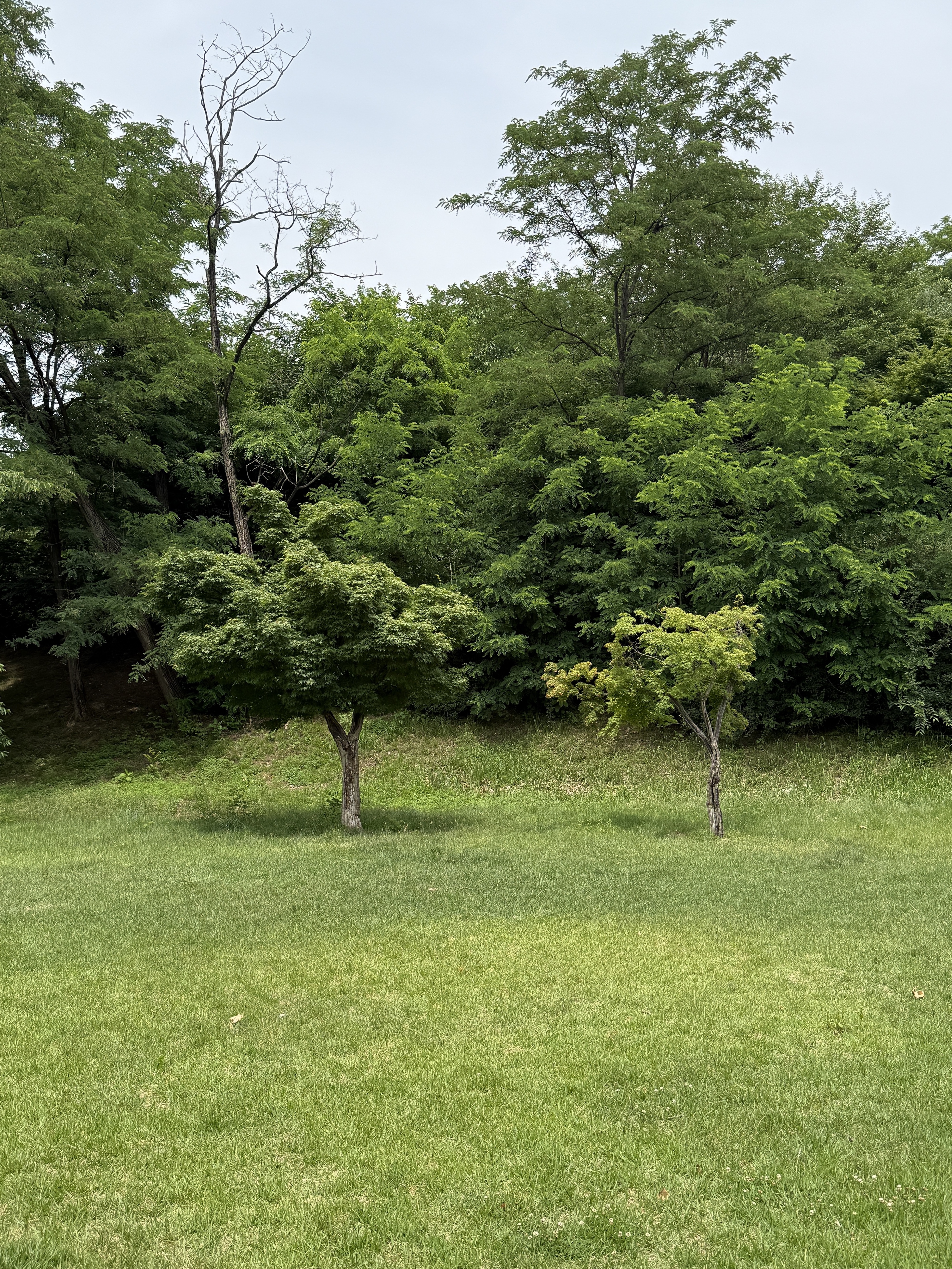 (W) On Running x Post Archive Faction (Paf) Cloudventure Peak Cacao Espresso, Apple Watch SE 2024 40mm GPS Silver Aluminium Case with Sport Band S/M Denim (Korean Ver.) 착용 스타일 - 5