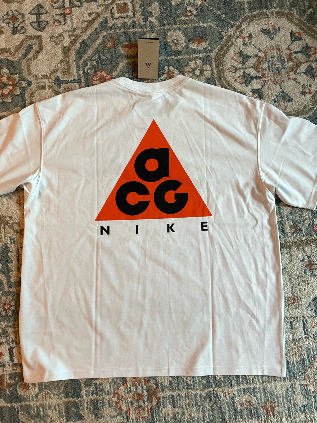 Nike ACG Max 90 T-Shirt Summit White - Asia 착용 스타일 - 4