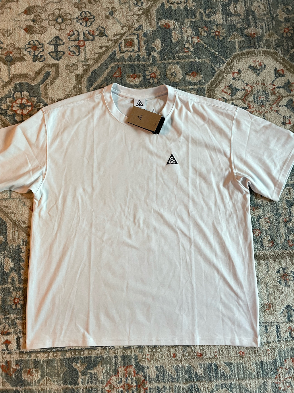 Nike ACG Max 90 T-Shirt Summit White - Asia 착용 스타일 - 1