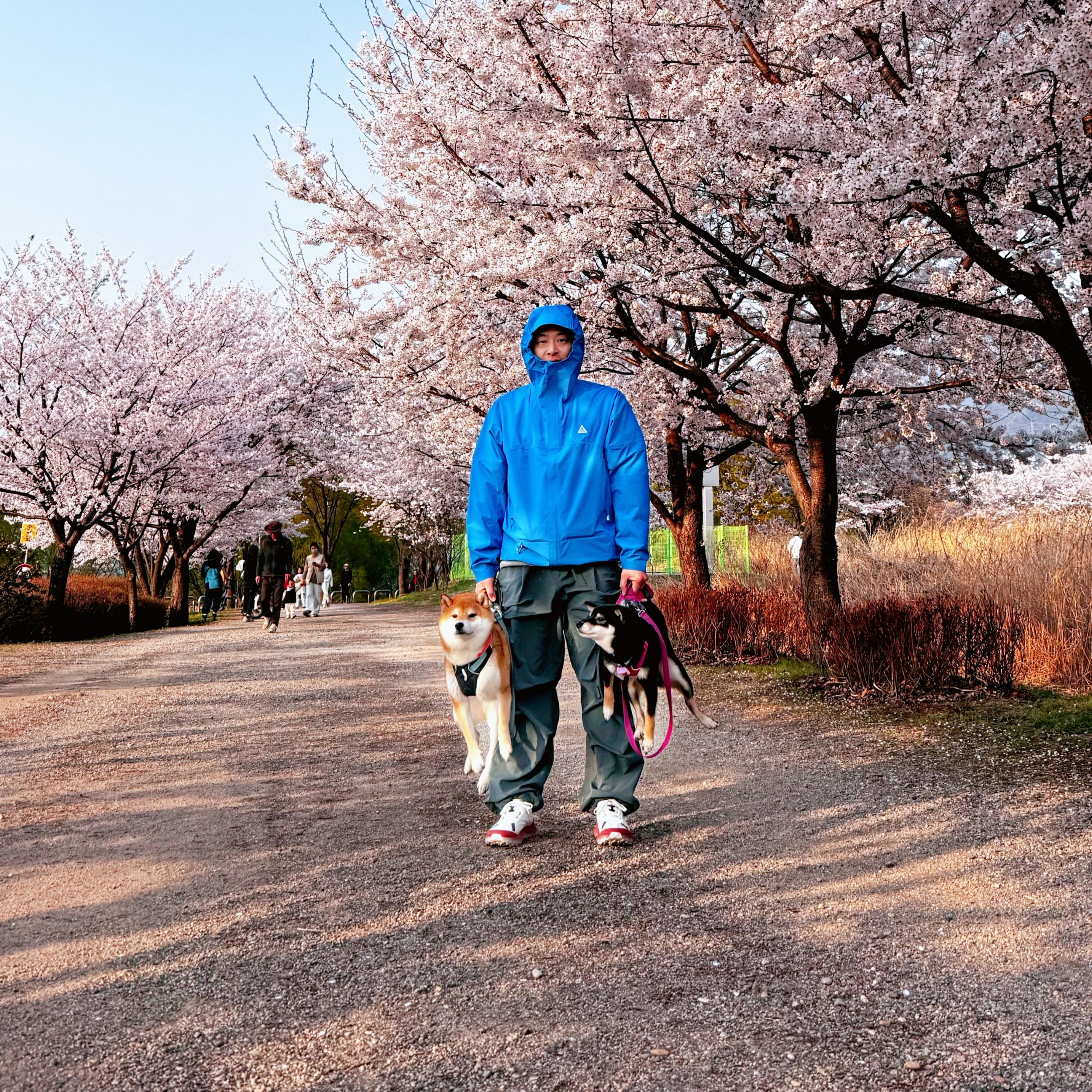Nike ACG Storm-Fit ADV Cascade Rains Full Zip Jacket Light Photo Blue Summit White - Asia 착용 스타일