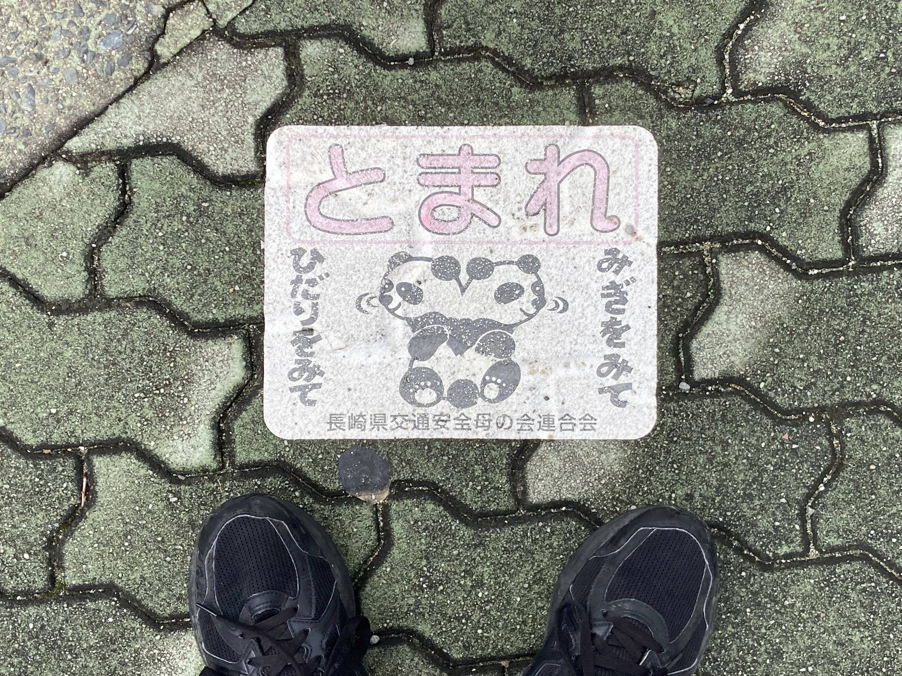 Asics Jog 100 2 Black 착용 스타일