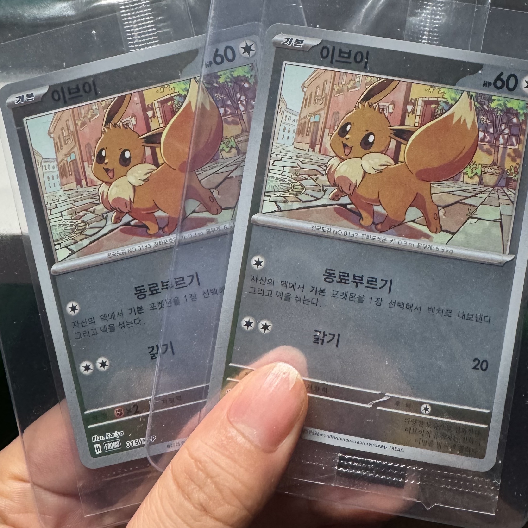 Pokemon TCG Eevee 2026 Korean League Promo Card (Korean Ver.) 착용 스타일