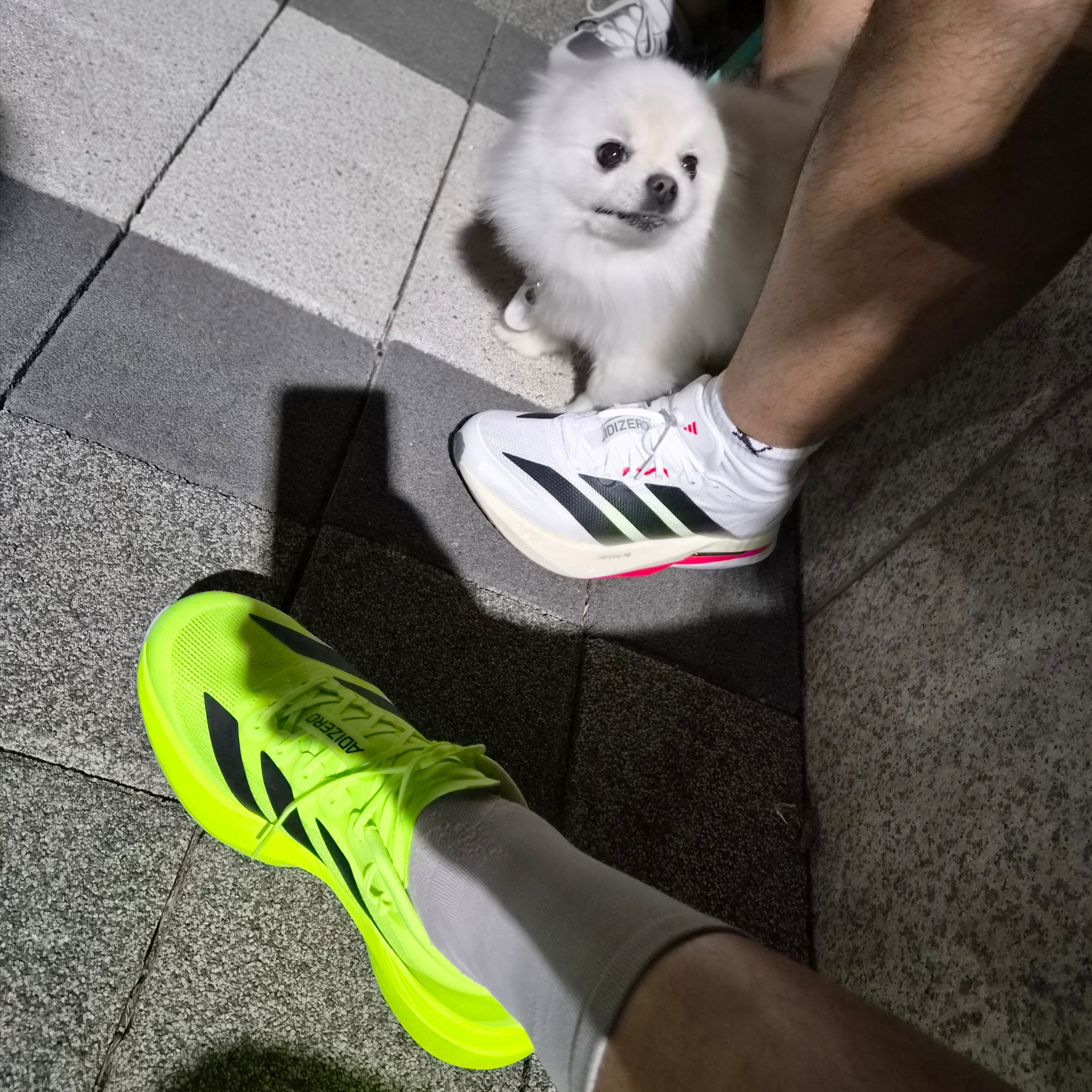 Adidas Adizero EVO SL Lucid Lemon Core Black, Adidas Adizero Boston 13 Cloud White Core Black 착용 스타일