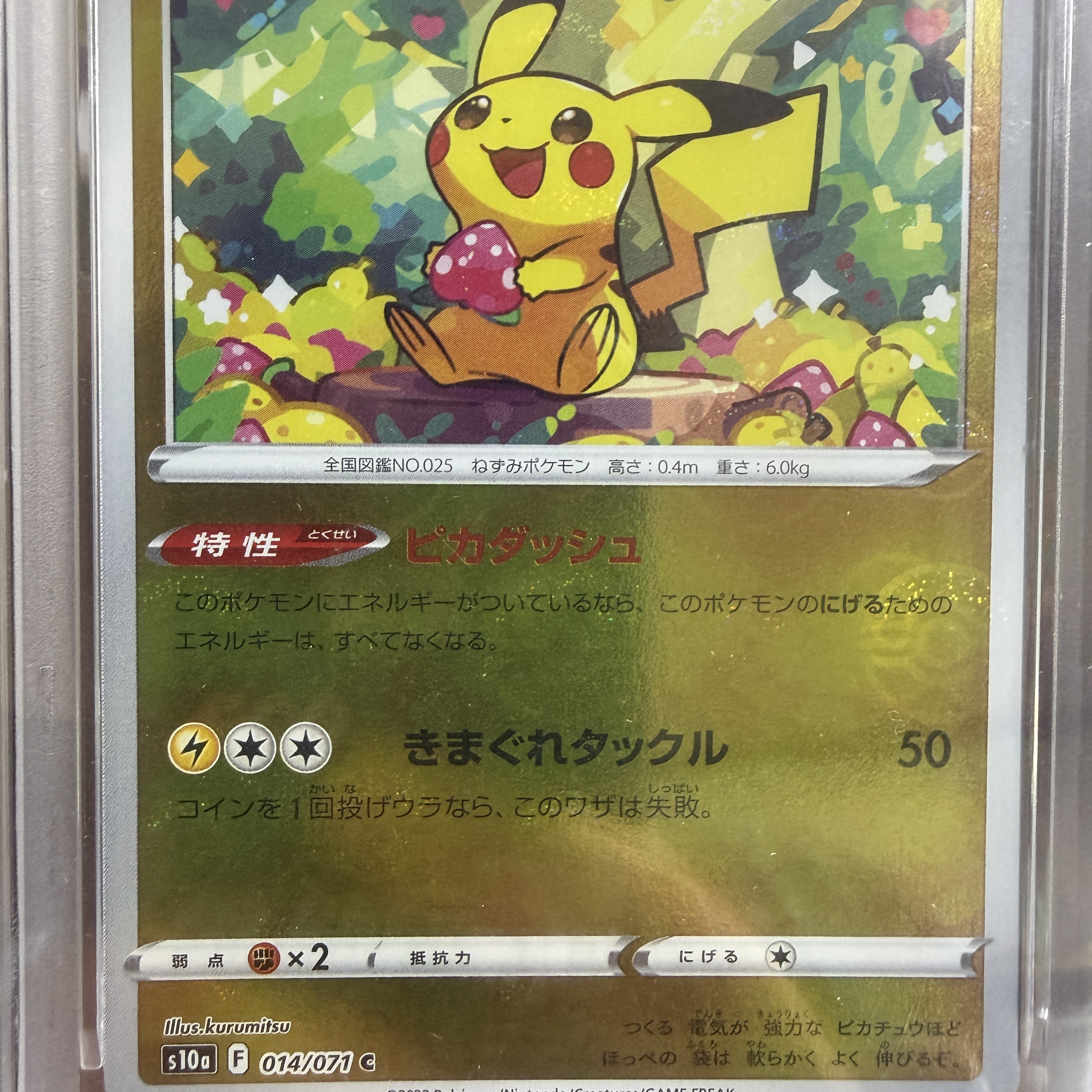 Pokemon TCG Pikachu C Mirror Dark Phantasma (Japanese Ver.) 착용 스타일