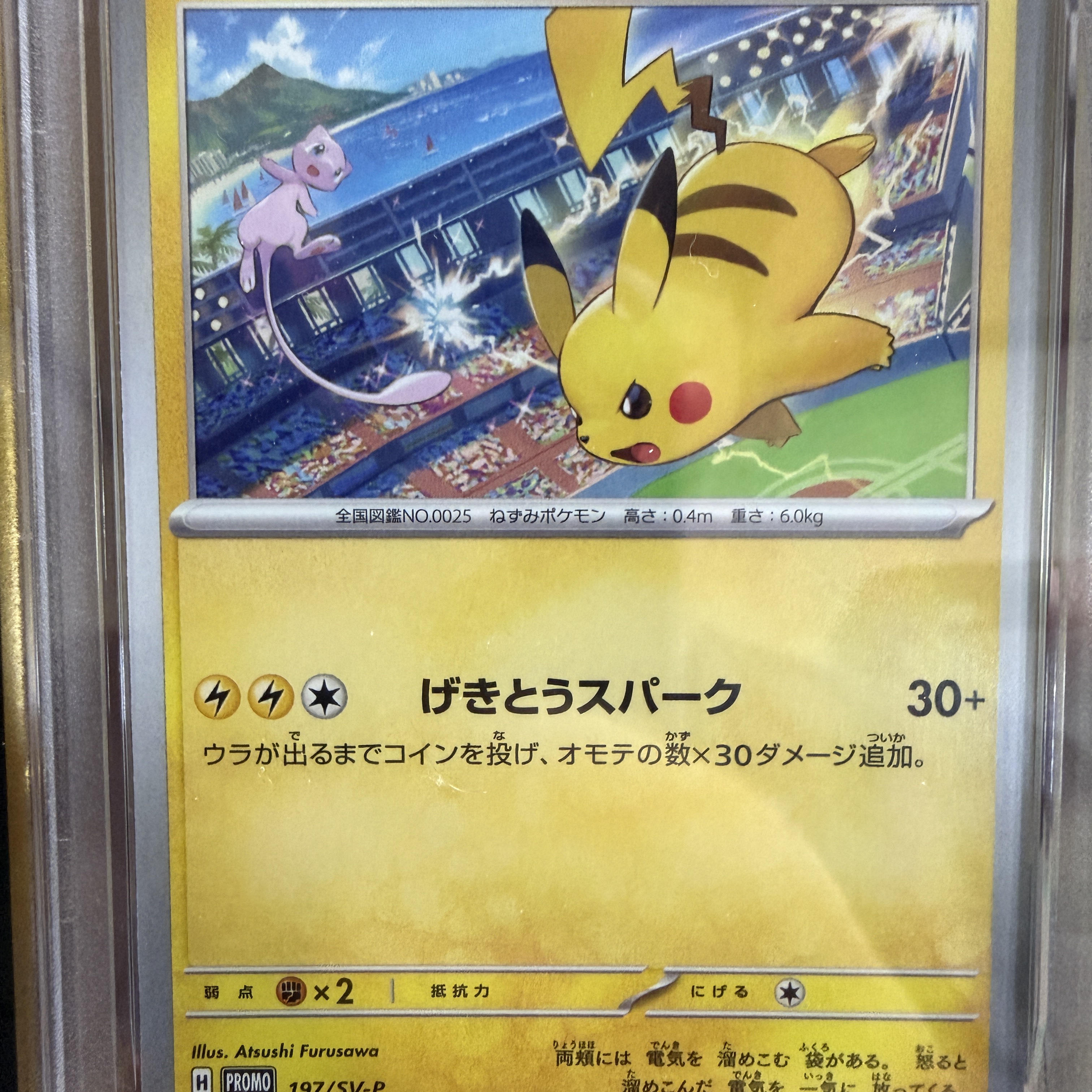 Pokemon TCG Pikachu P Scarlet & Violet Promos (Japanese Ver.) 착용 스타일