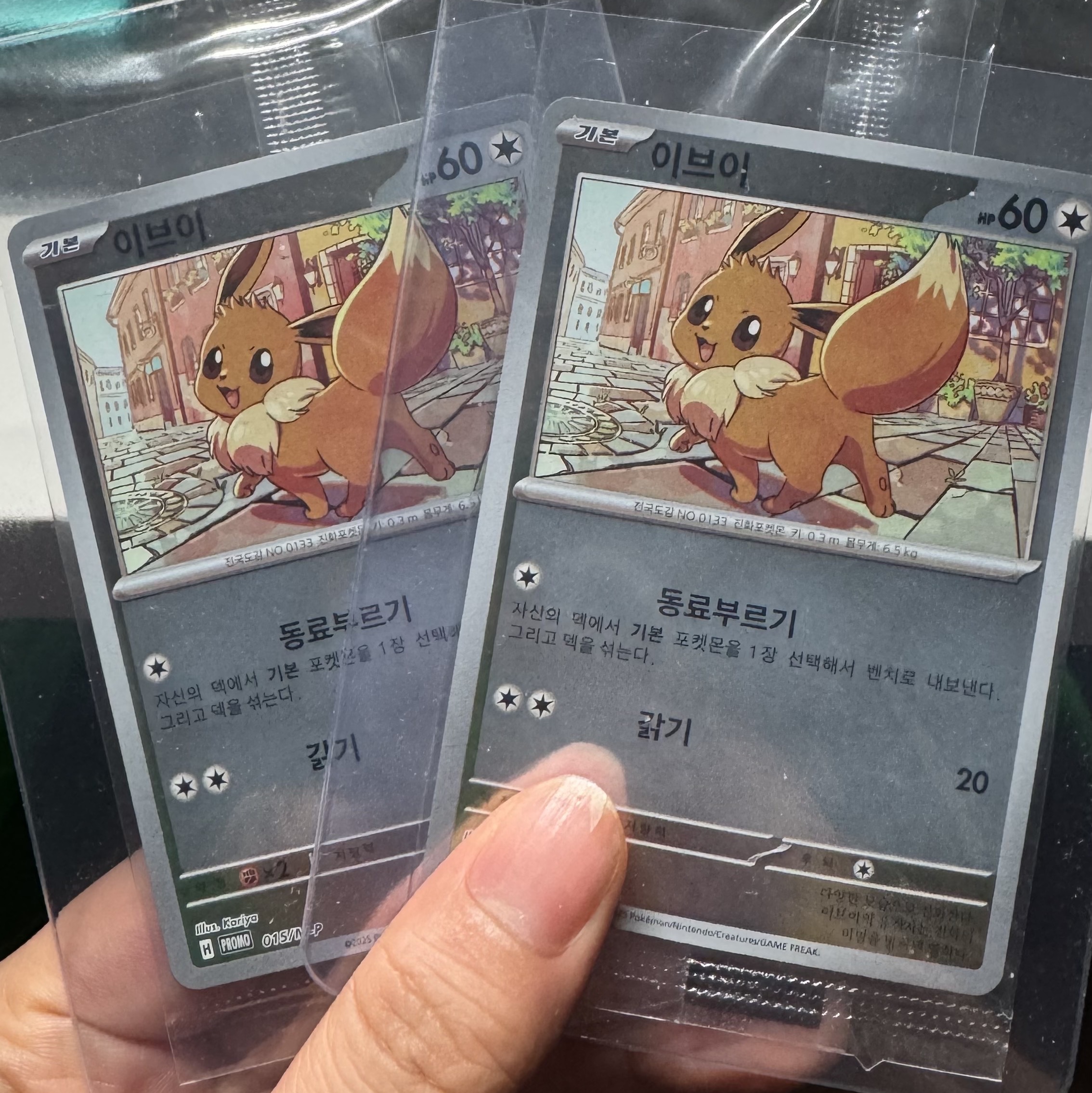 Pokemon TCG Eevee 2026 Korean League Promo Card (Korean Ver.) 착용 스타일