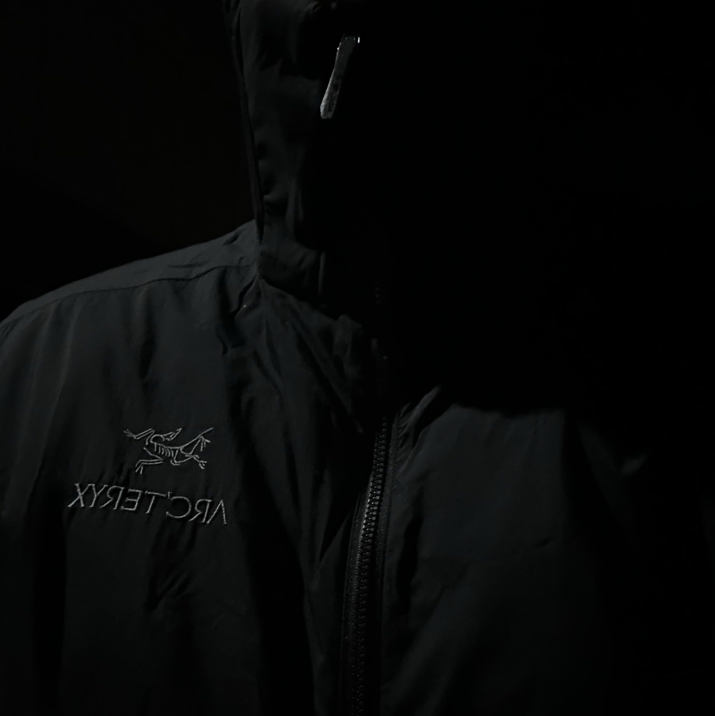 Arc'teryx Atom SL Hoody Black 착용 스타일