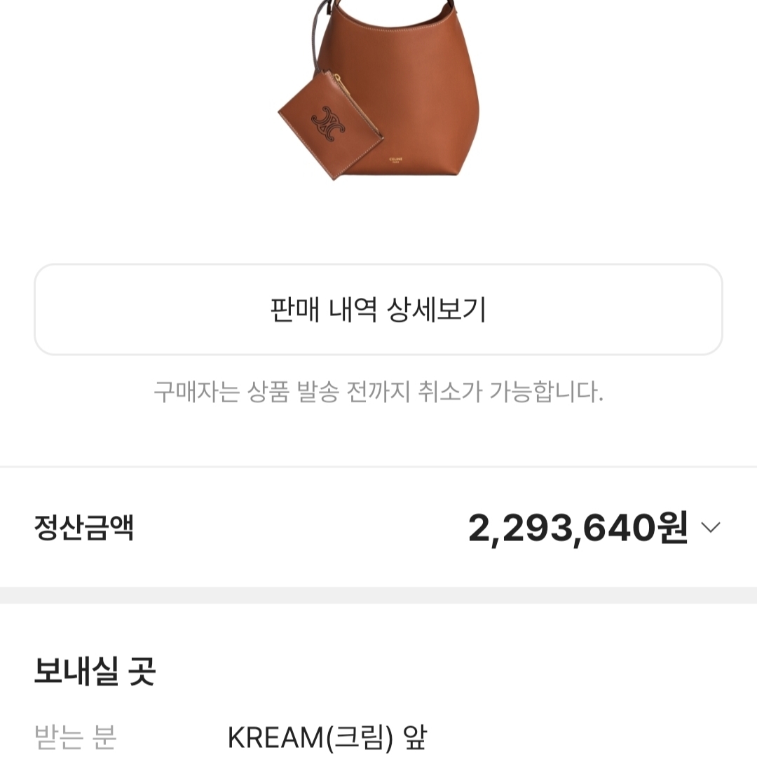 Celine Small Hobo in Supple Smooth Calfskin Tan 착용 스타일