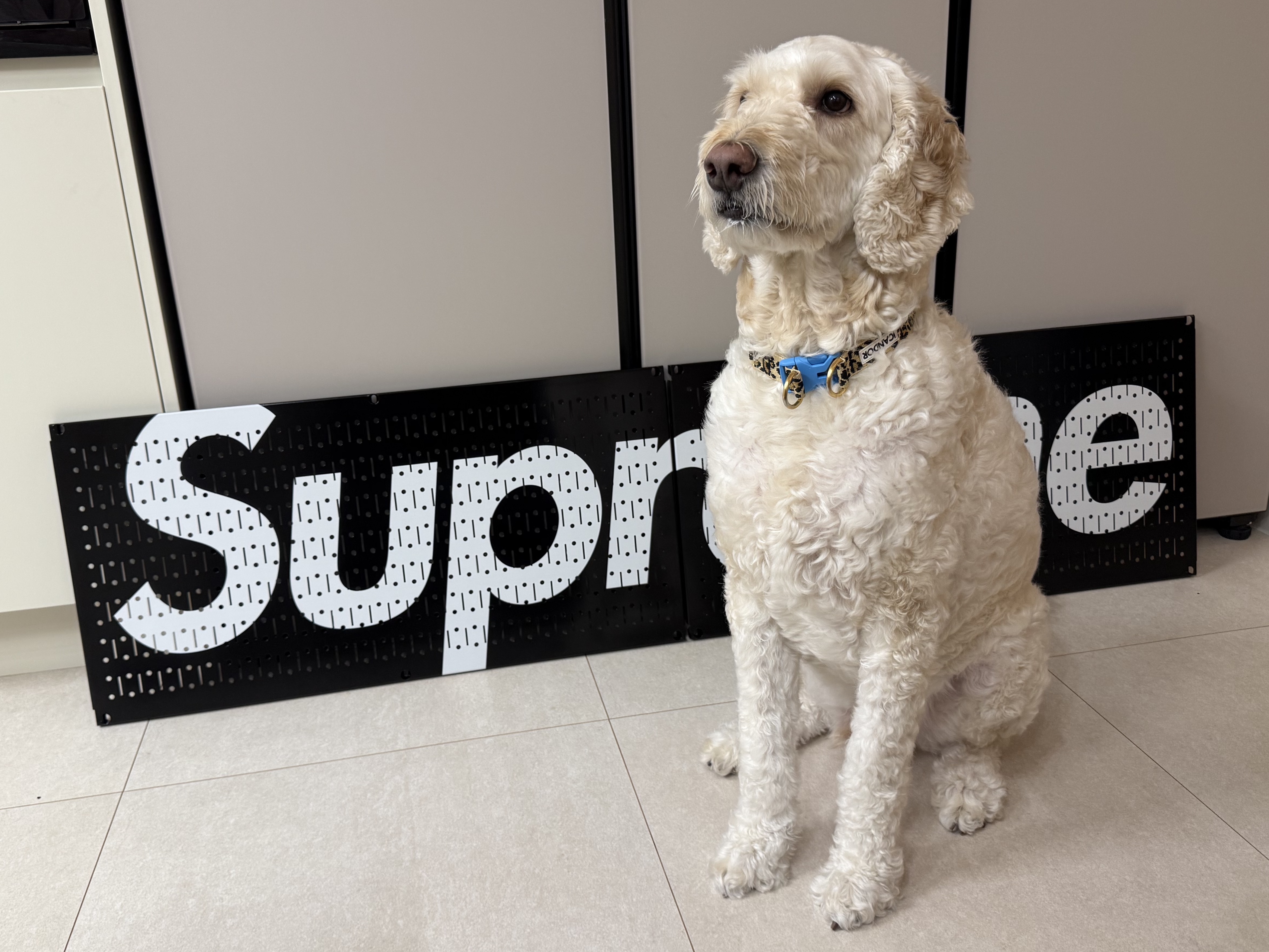 Supreme x Wall Control Pegboard Panel Black (Set of 2) - 26SS, Supreme x Wall Control Pegboard Panel Red (Set of 2) - 26SS 착용 스타일 - 4