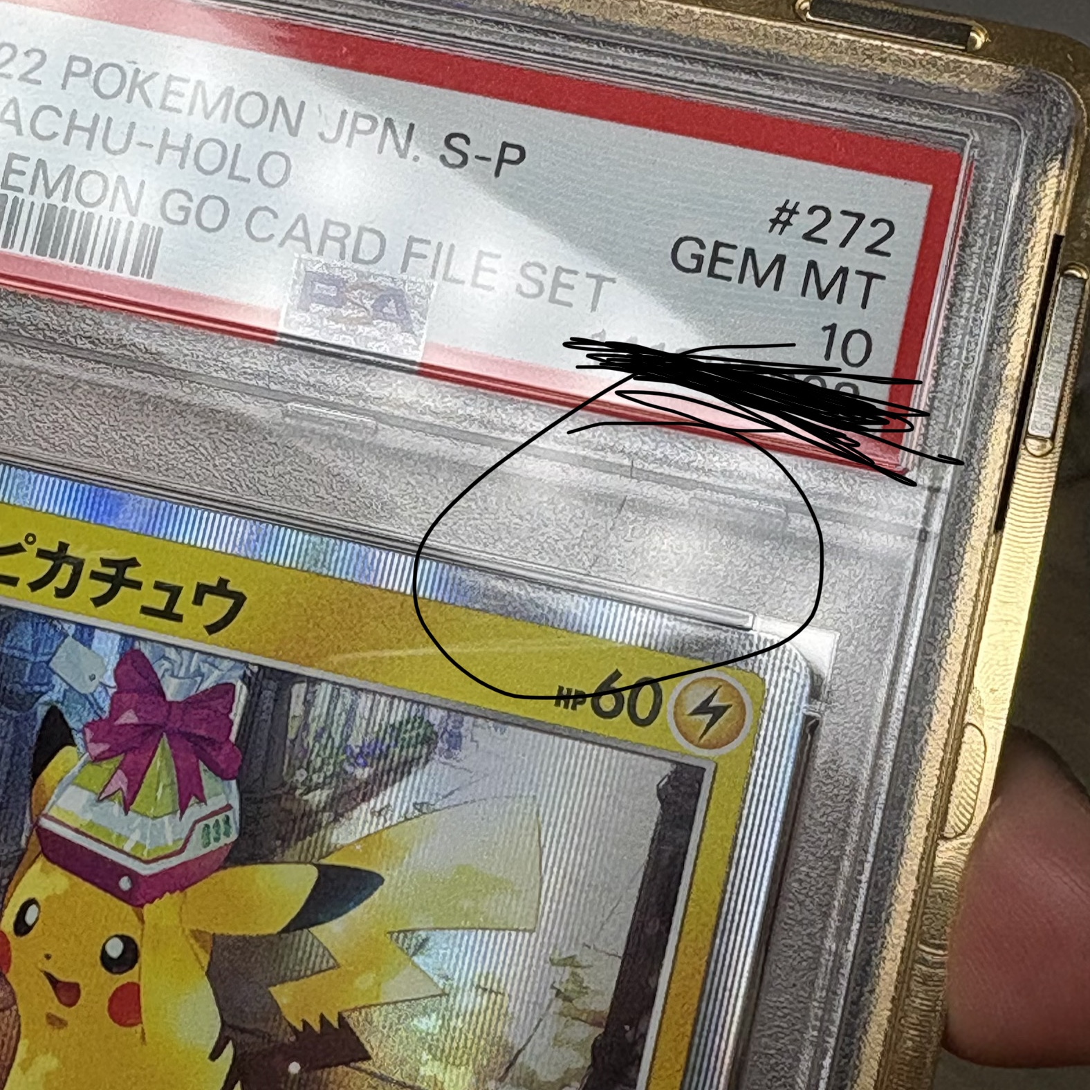 Pokemon TCG Pikachu P Sword & Shield Promos (Japanese Ver.) 착용 스타일 - 1