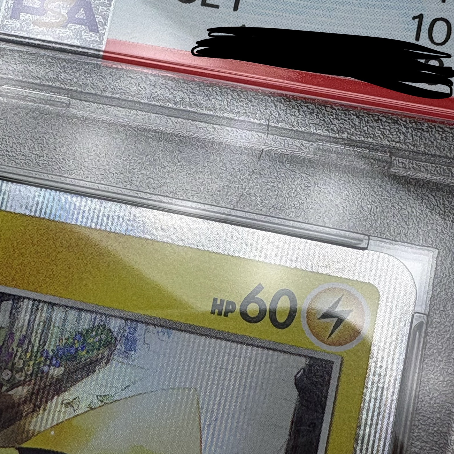 Pokemon TCG Pikachu P Sword & Shield Promos (Japanese Ver.) 착용 스타일 - 2