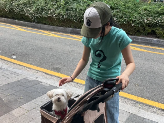스타일 카드