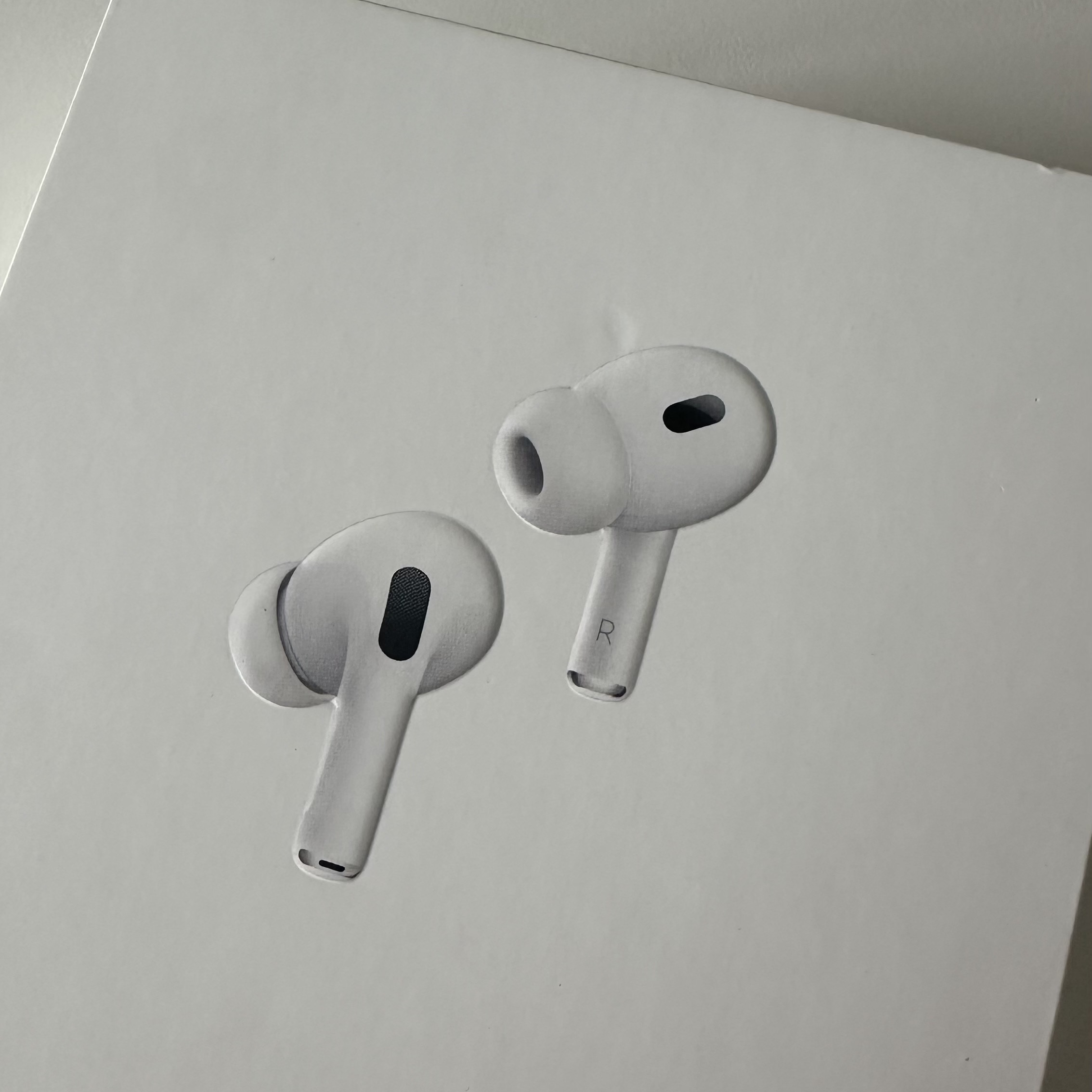 Apple Airpods Pro 2nd Gen with MagSafe Charging Case USB C (Korean Ver.) 착용 스타일