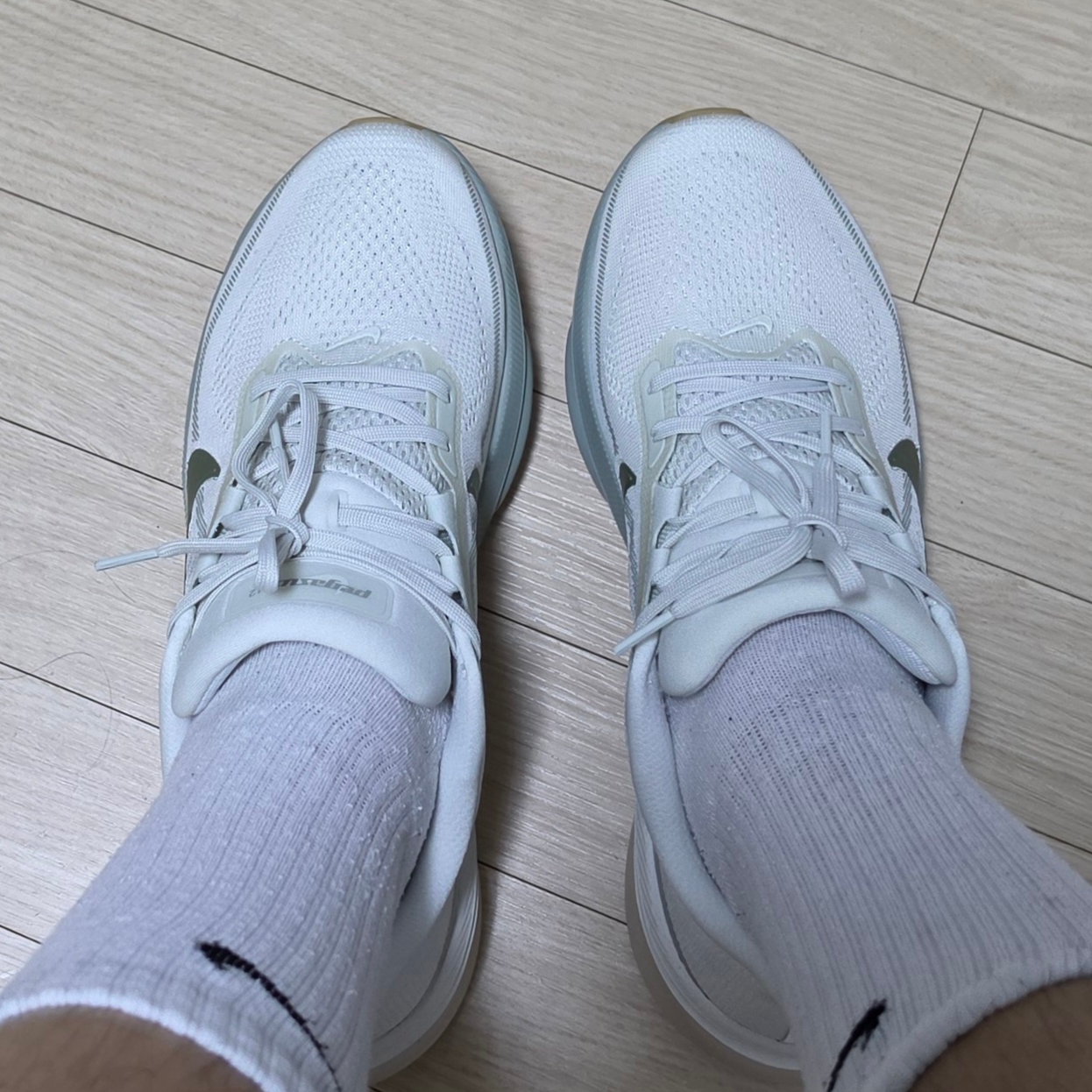 Nike Air Zoom Pegasus 42 Spruce Aura Pale Ivory 착용 스타일 - 1