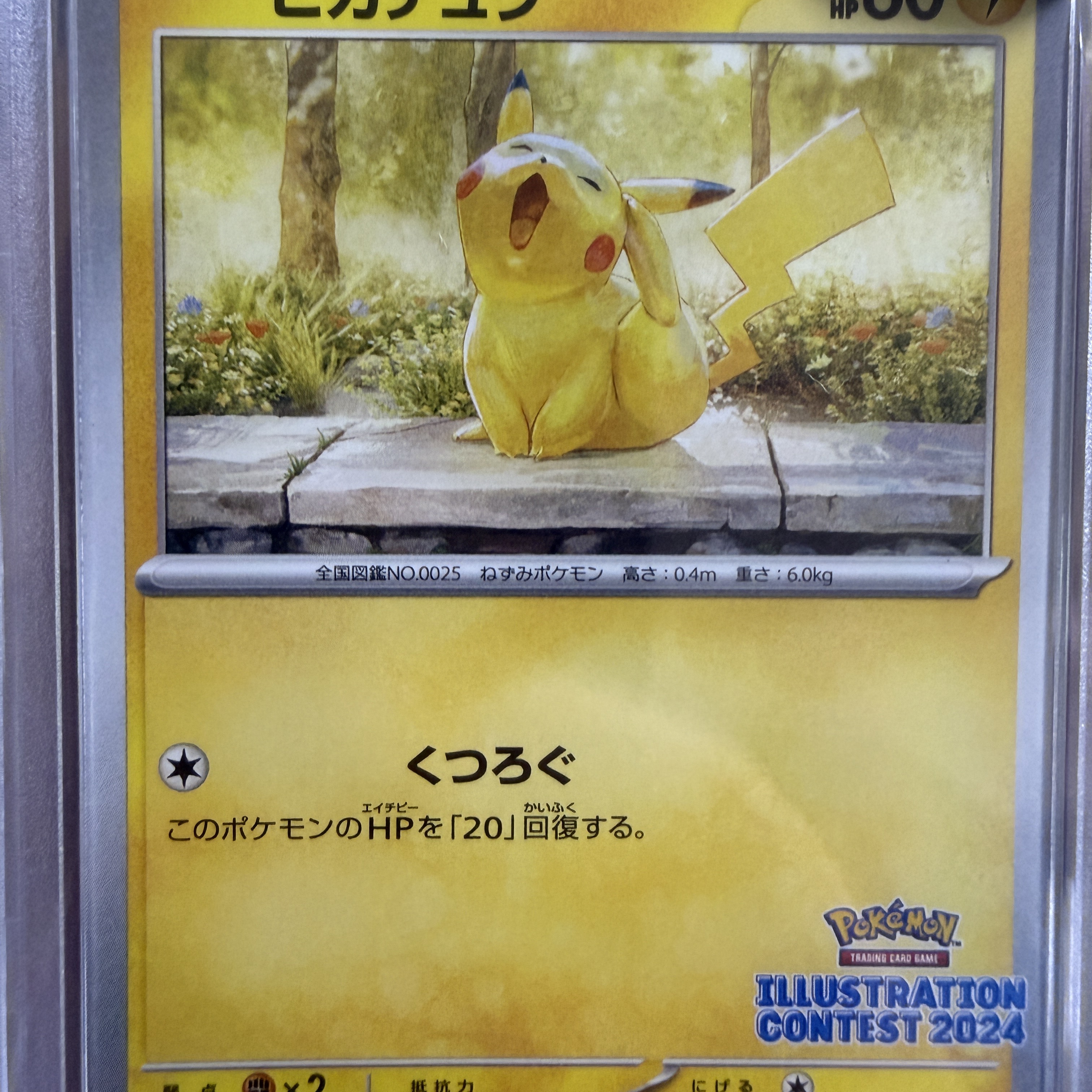 Pokemon TCG Pikachu P Scarlet & Violet Promos (Japanese Ver.) 착용 스타일