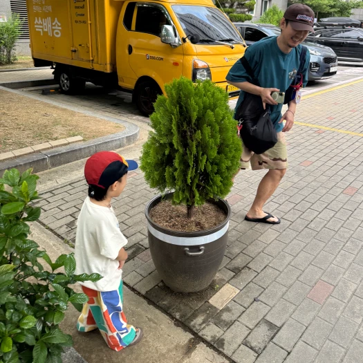 스타일 카드