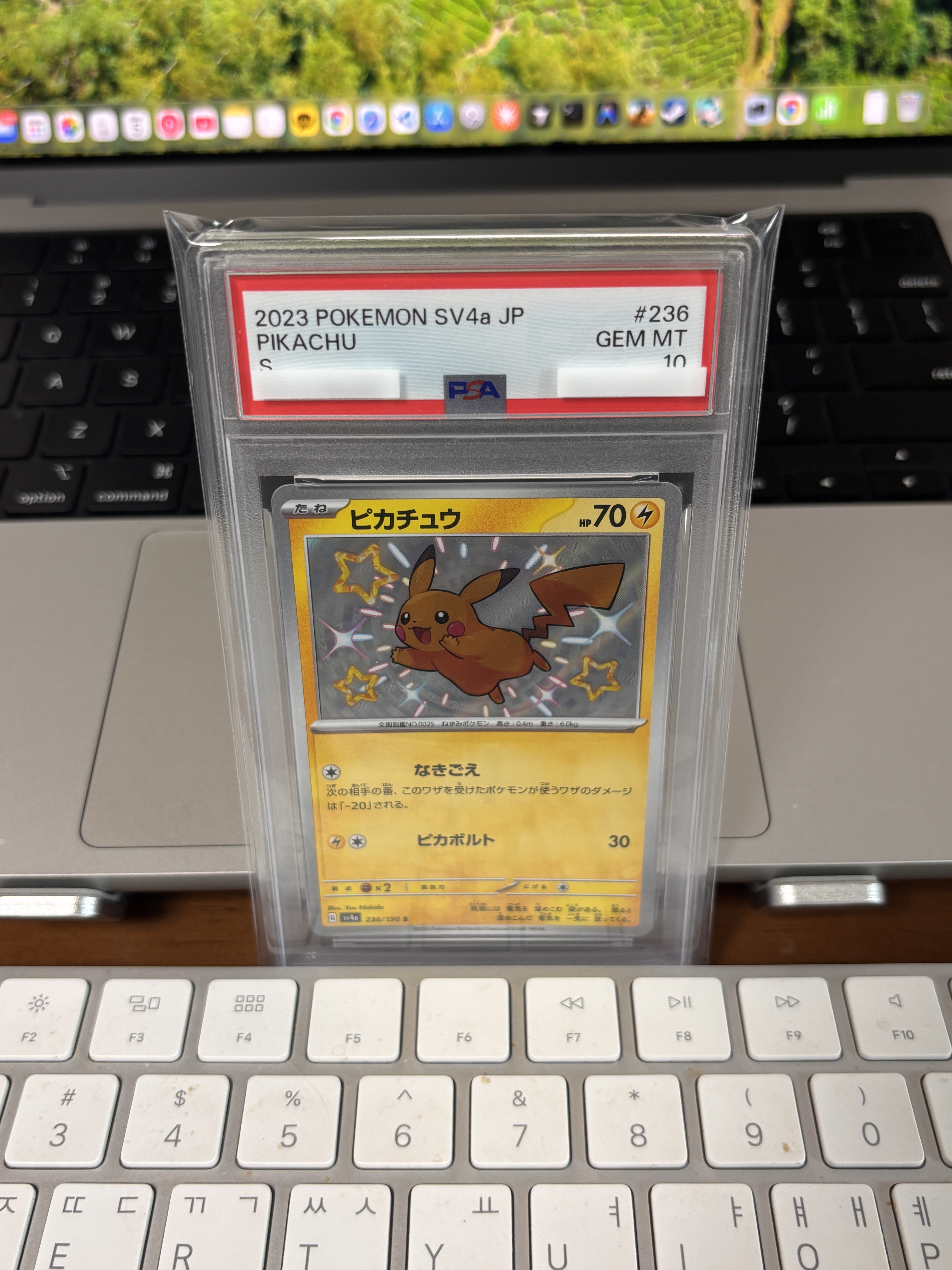 Pokemon TCG Pikachu S Shiny Treasure ex (Japanese Ver.) 착용 스타일