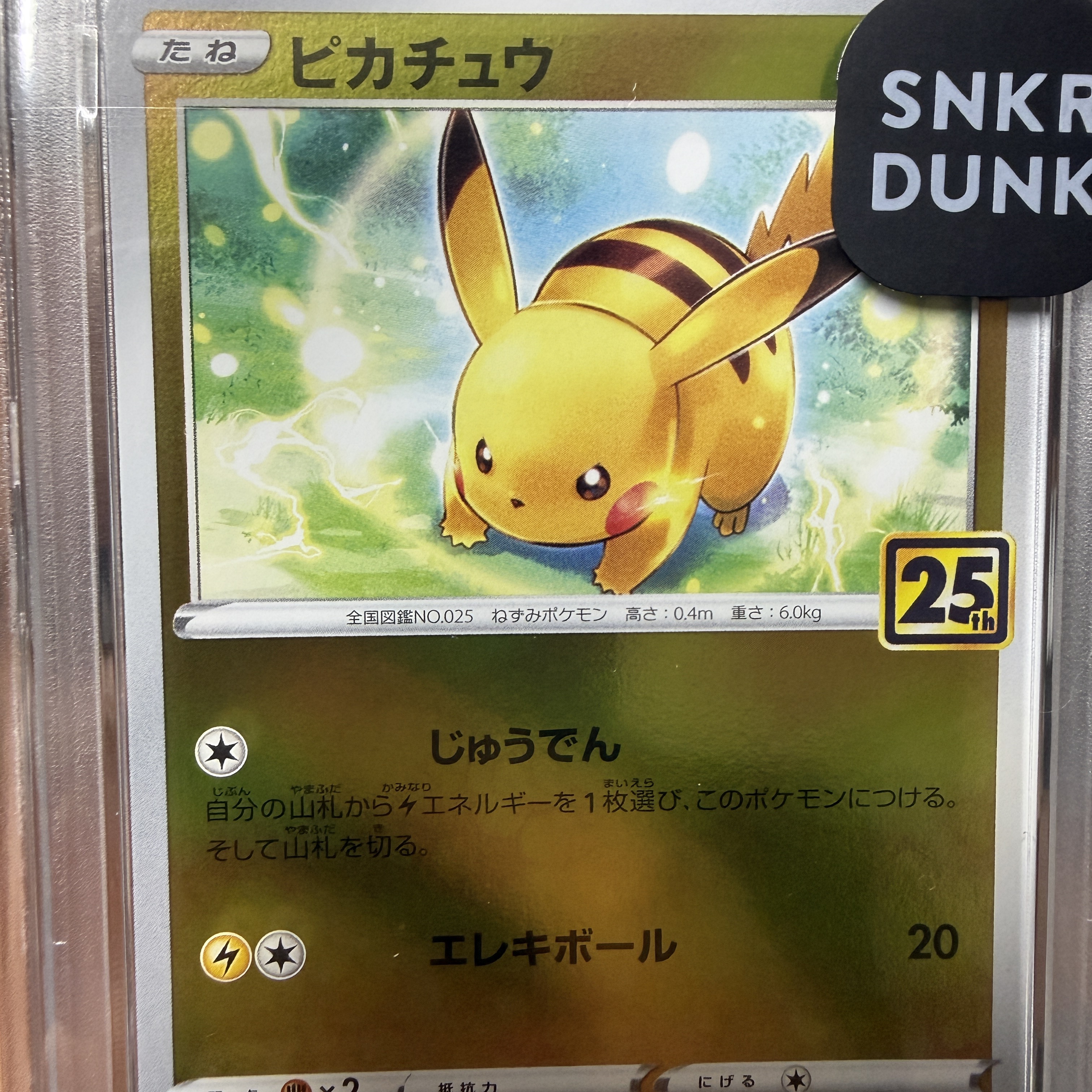 Pokemon TCG Pikachu 25Th Anniversary Golden Box (Japanese Ver.) 착용 스타일