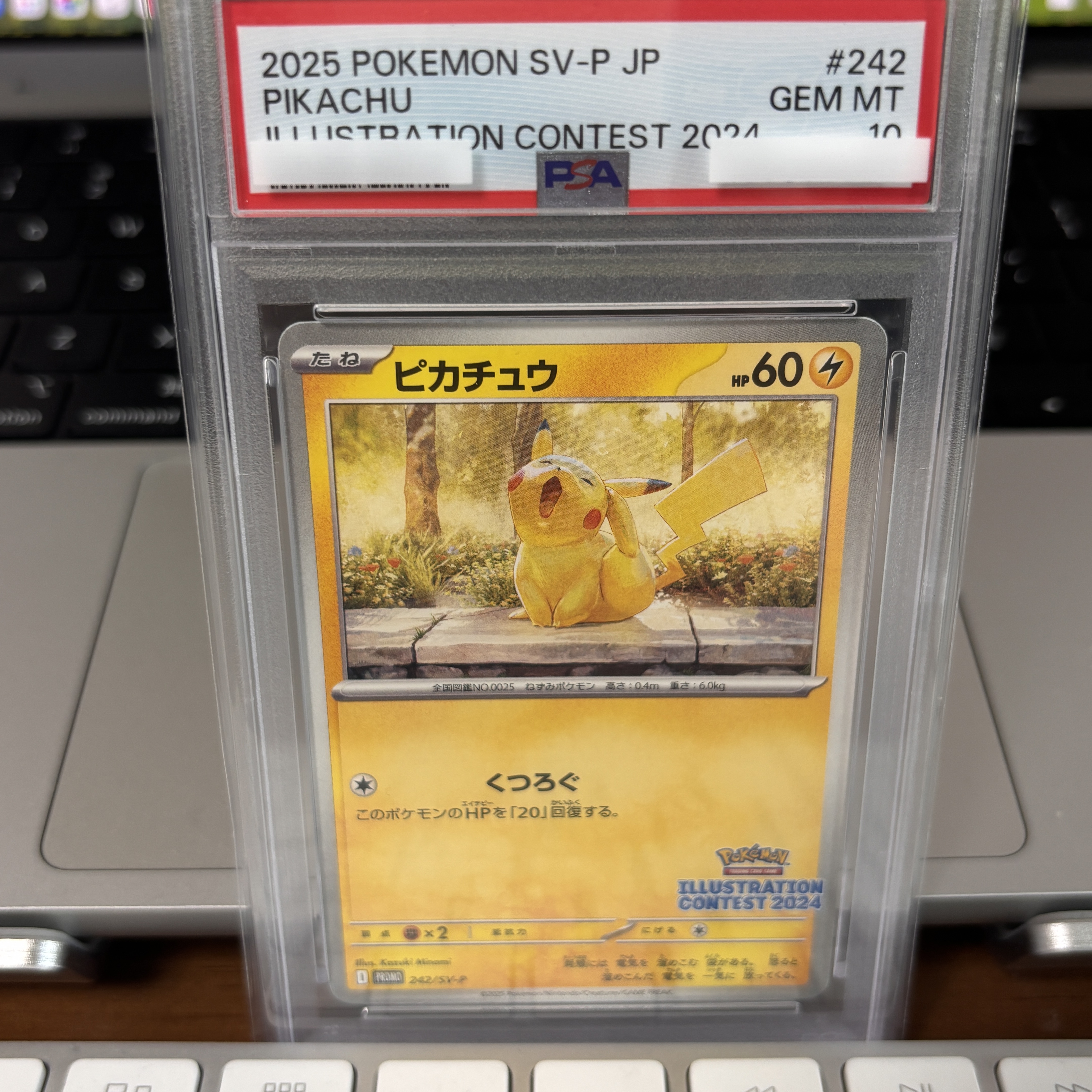 Pokemon TCG Pikachu P Scarlet & Violet Promos (Japanese Ver.) 착용 스타일