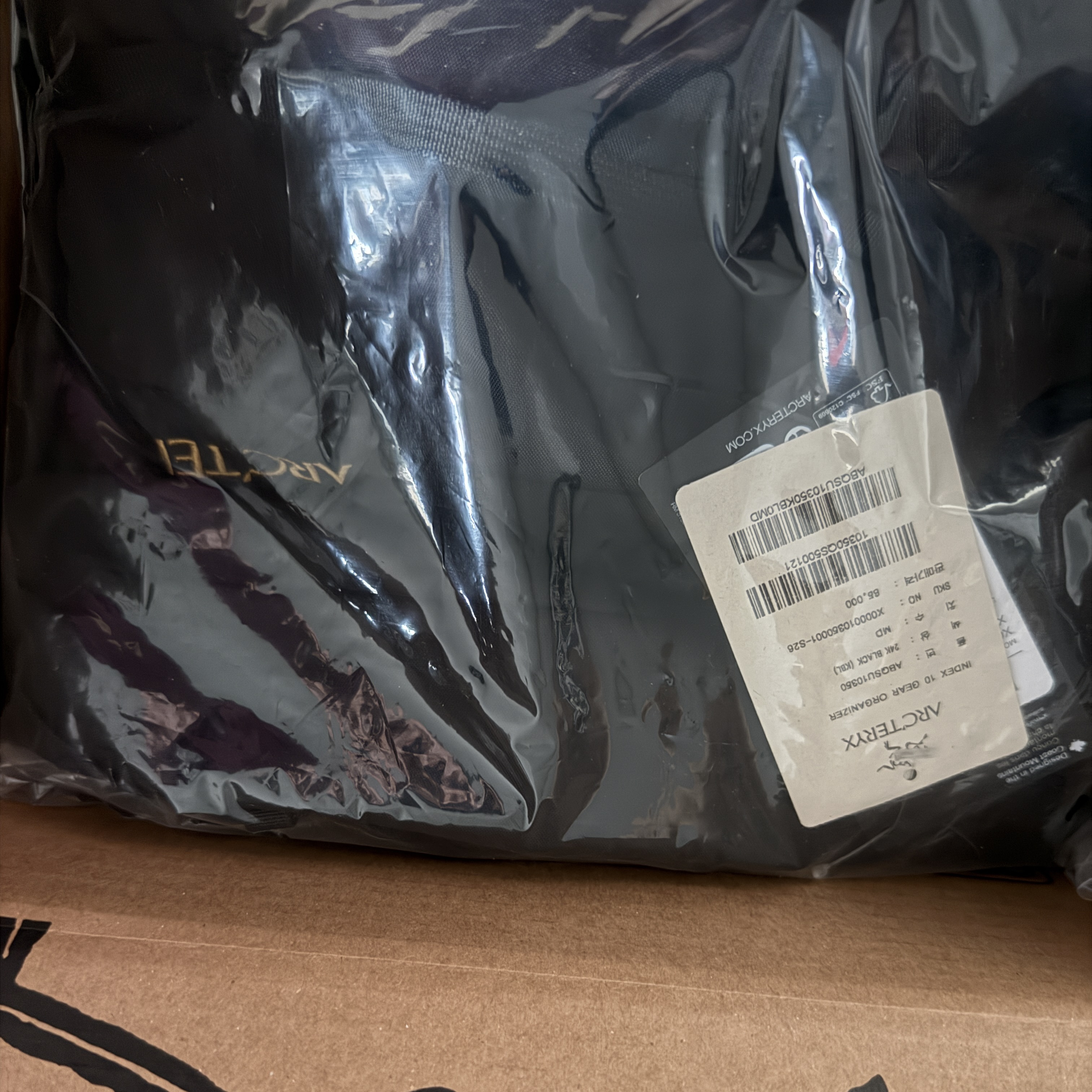 Arc'teryx Index 10 Gear Organizer 24K Black 착용 스타일