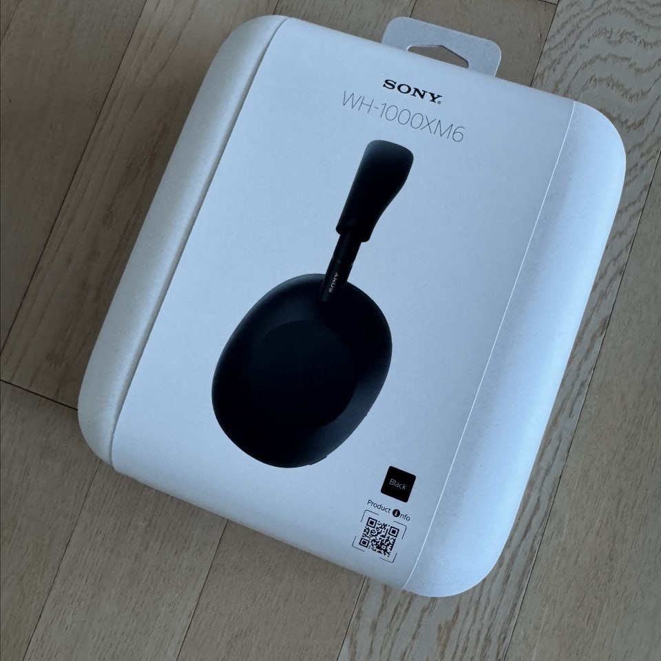 Sony WH-1000XM6 (Sony Korea Ver.) 착용 스타일