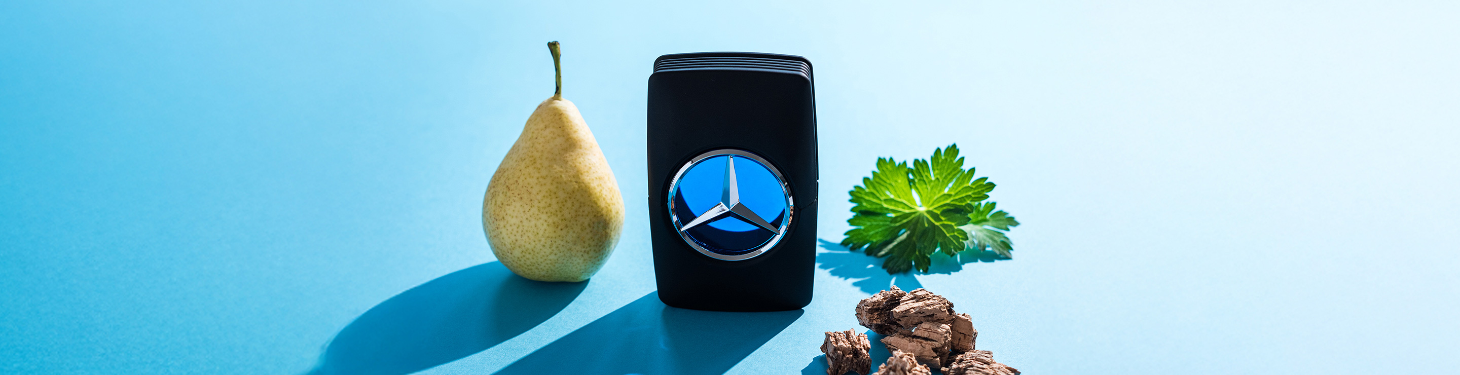 메르세데스벤츠(Mercedes-Benz)