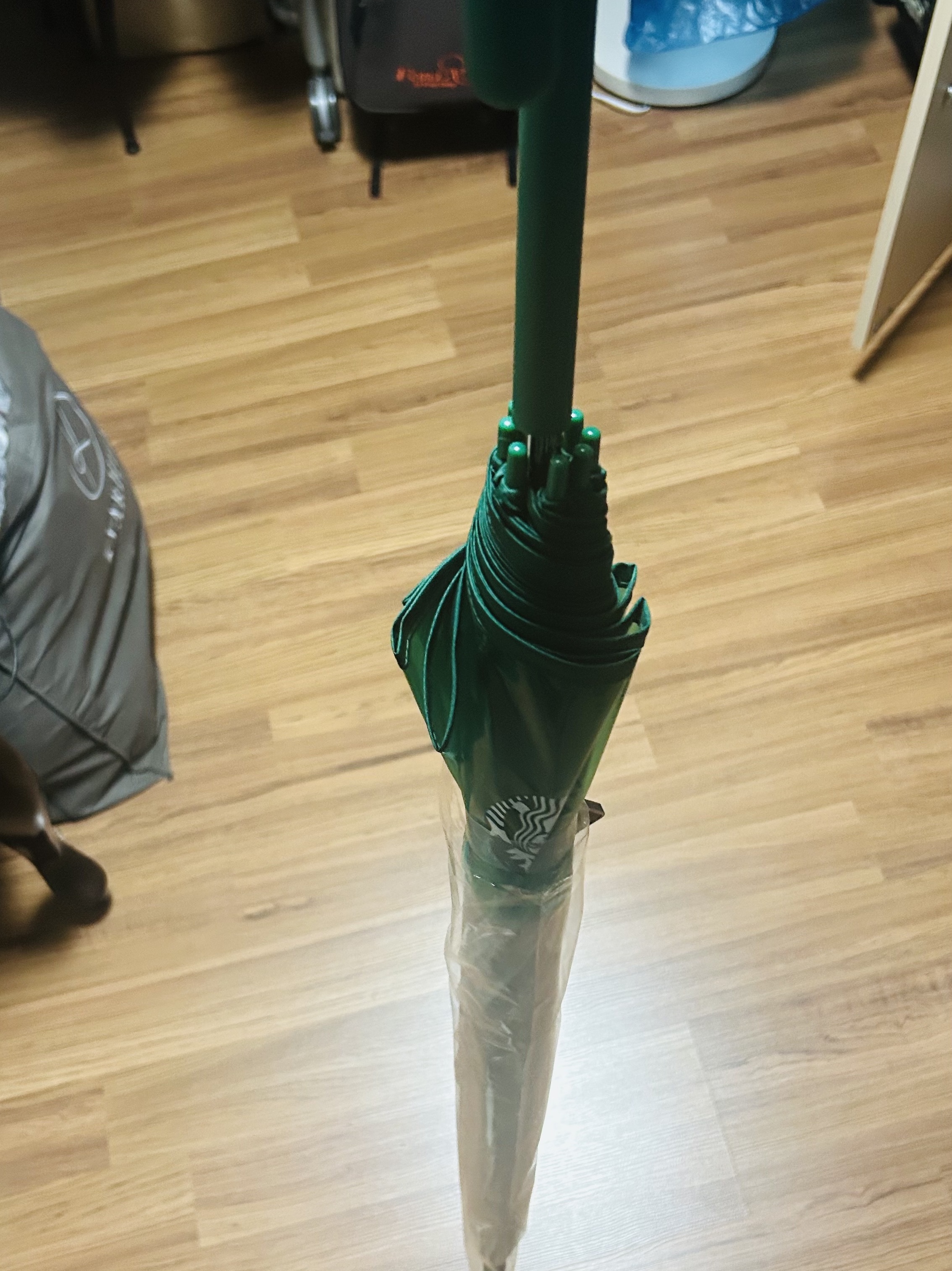 Starbucks Rainy Day Tall Transparent Umbrella Green 착용 스타일