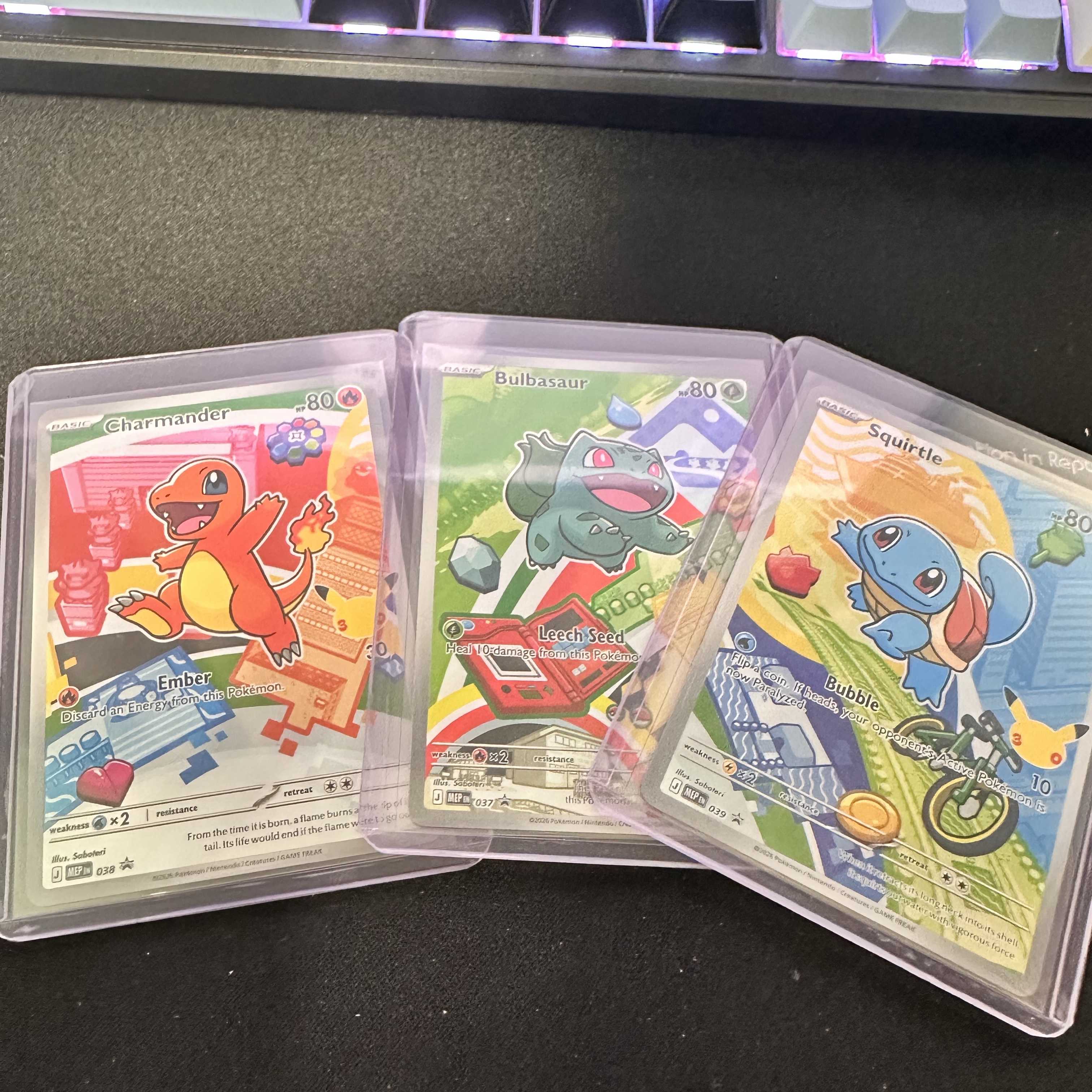 Pokemon TCG First Partner Illustration Collection Series Vol.1 Box (English Ver.) 착용 스타일