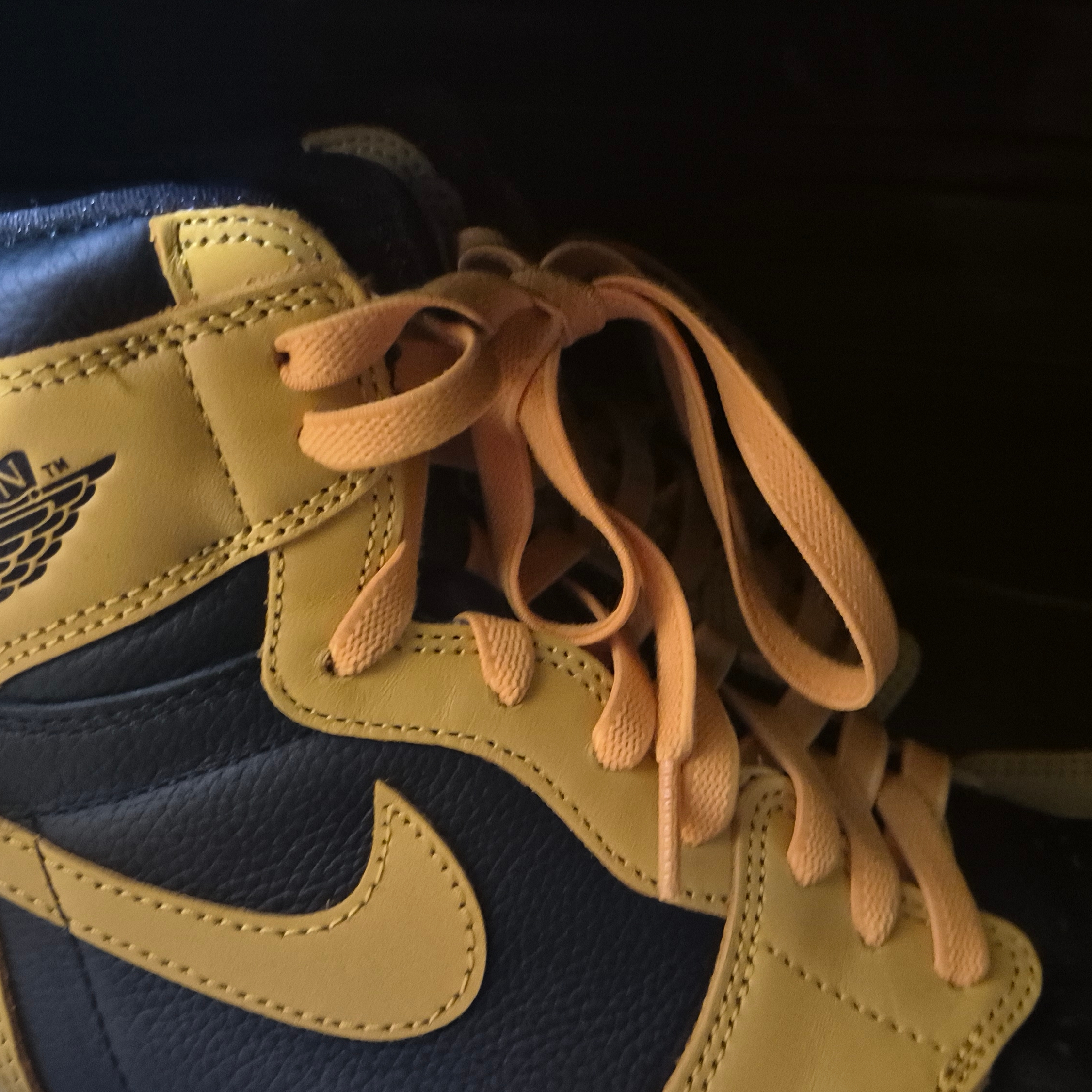 Jordan 1 Retro High OG Pollen 착용 스타일