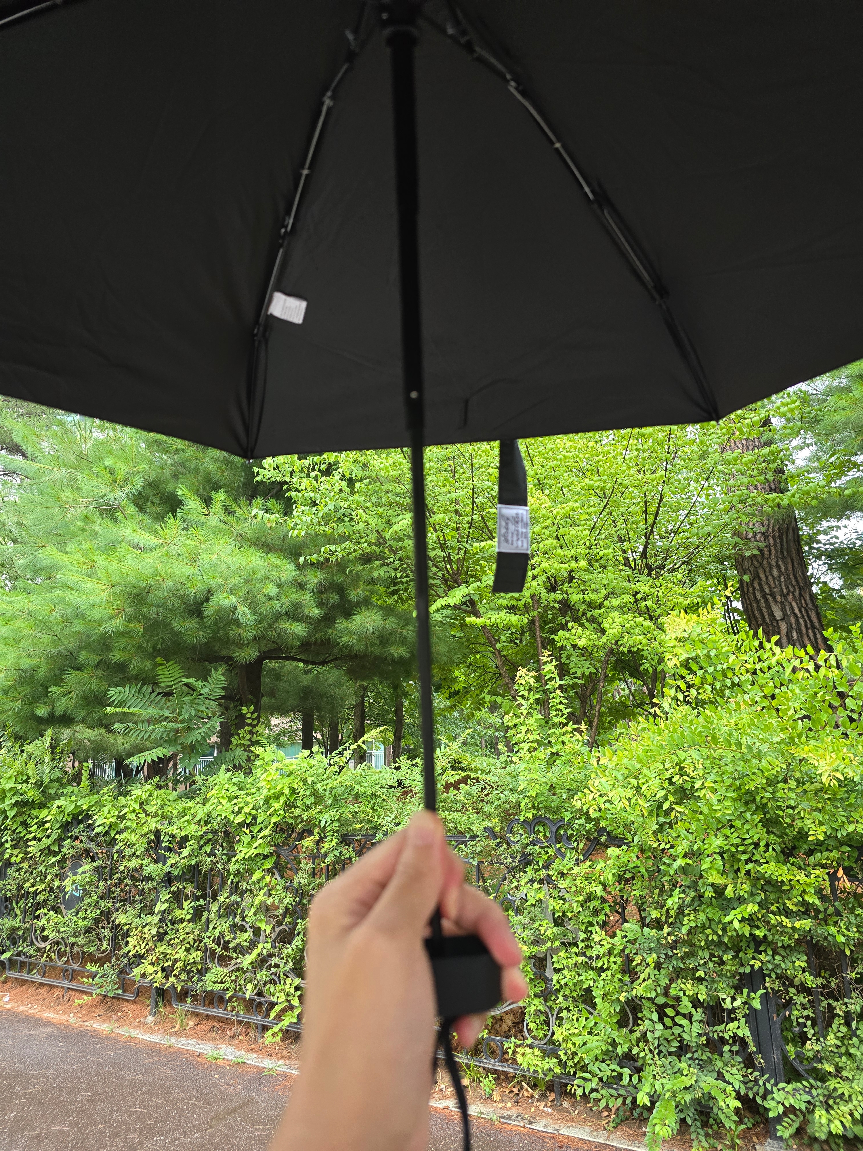NUART STUDIO OYW Glow 5-Fold Manual Sun & Rain Umbrella Black 착용 스타일 - 1