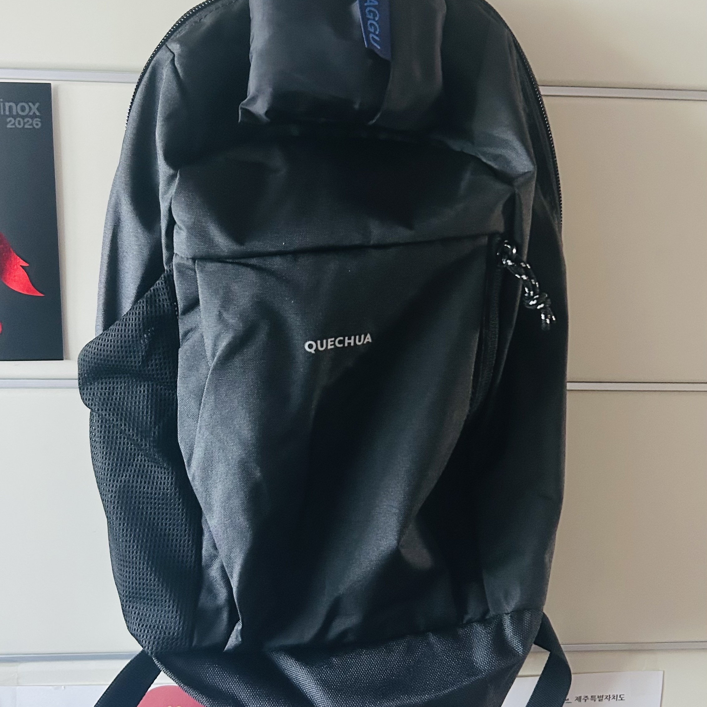 DECATHLON Hiking Backpack 10L Arpenaz NH100 Smoked Black 착용 스타일