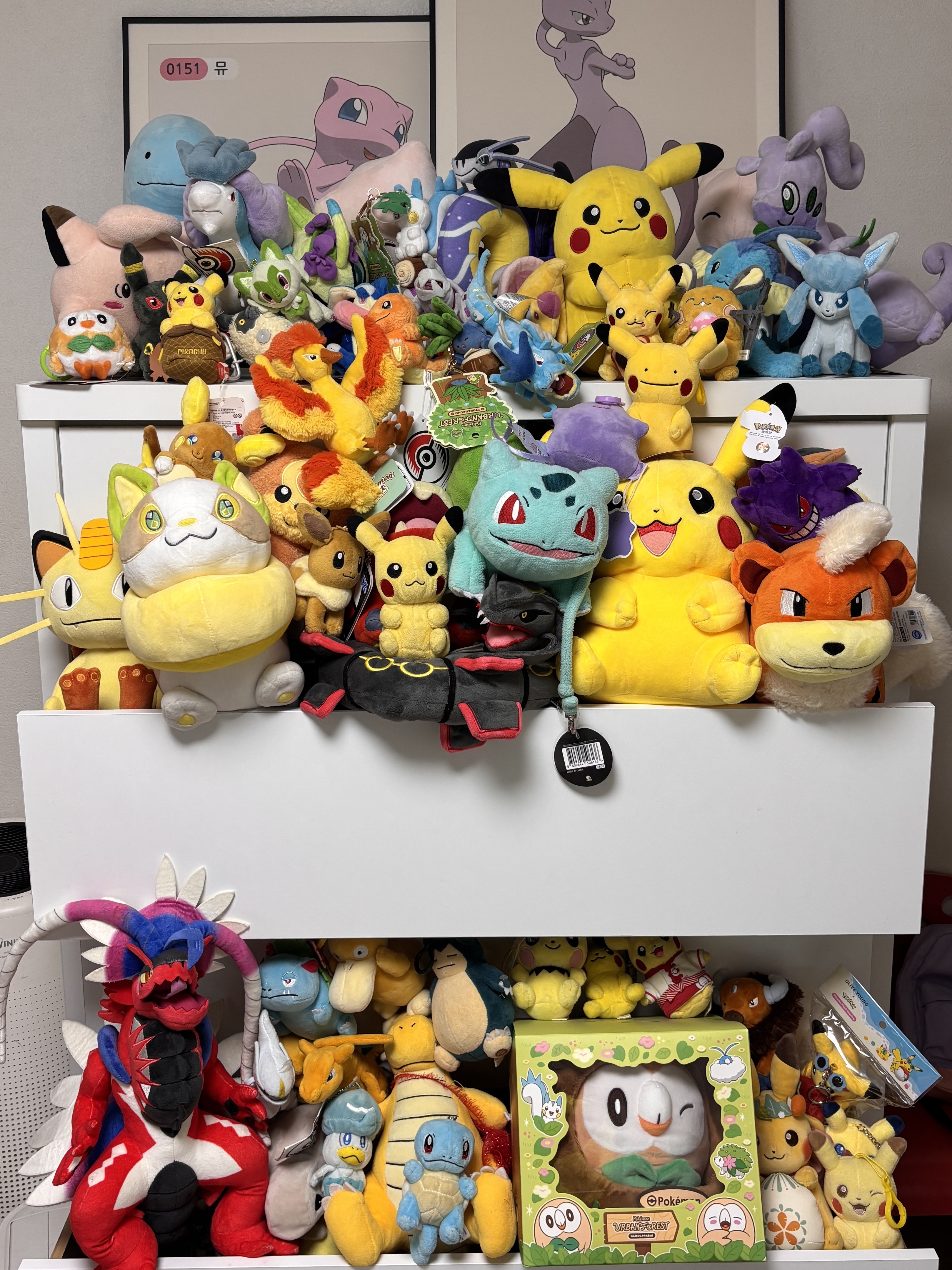 Many a Little Pokemon Plush toy 25cm BOOSTER, Pokemon 30th Anniversary Mascot Shiny Pikachu Plush Toy 착용 스타일
