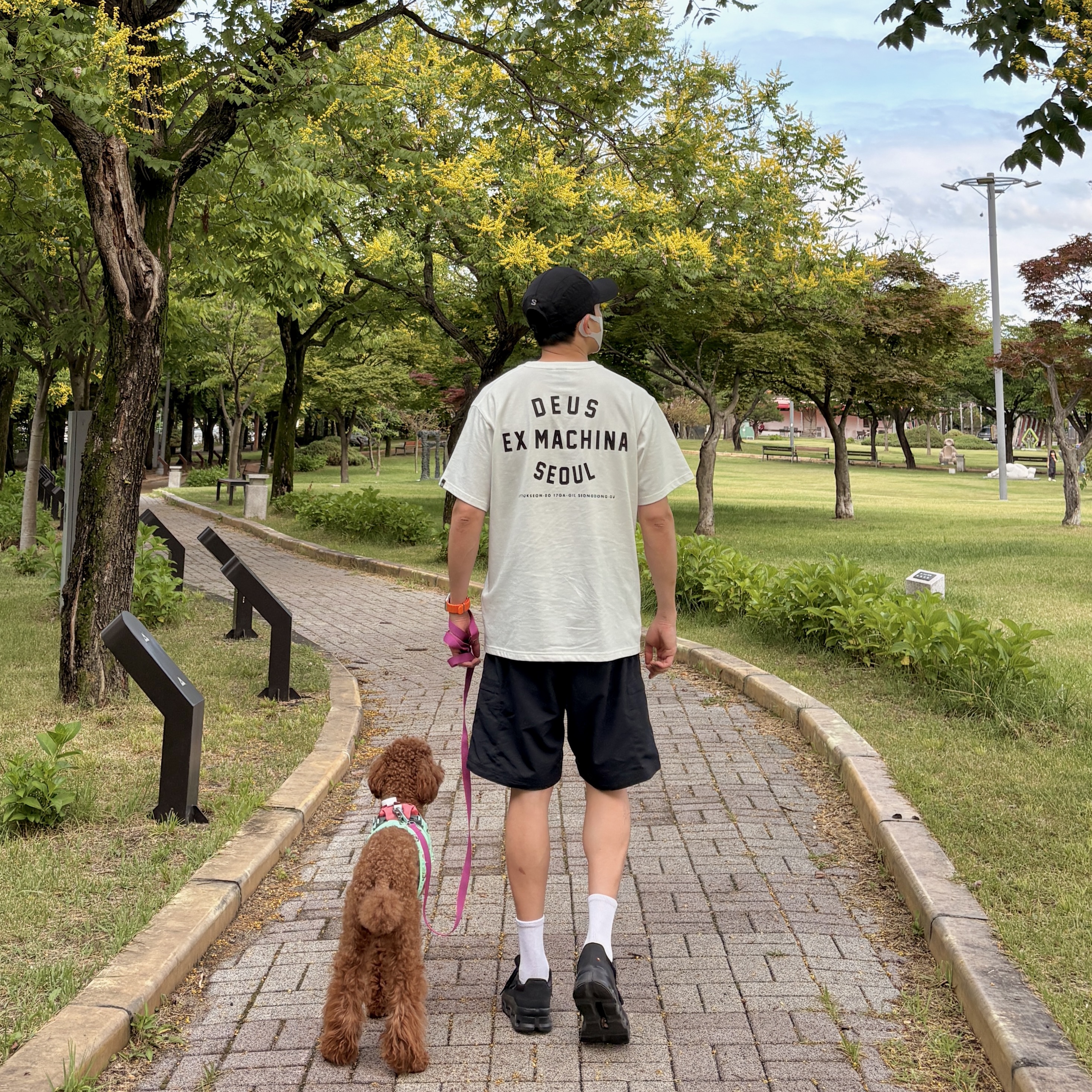 Salomon Link Camp Cap Black, Deus Ex Machina Deus Seoul College Address T-Shirt White 착용 스타일 - 2