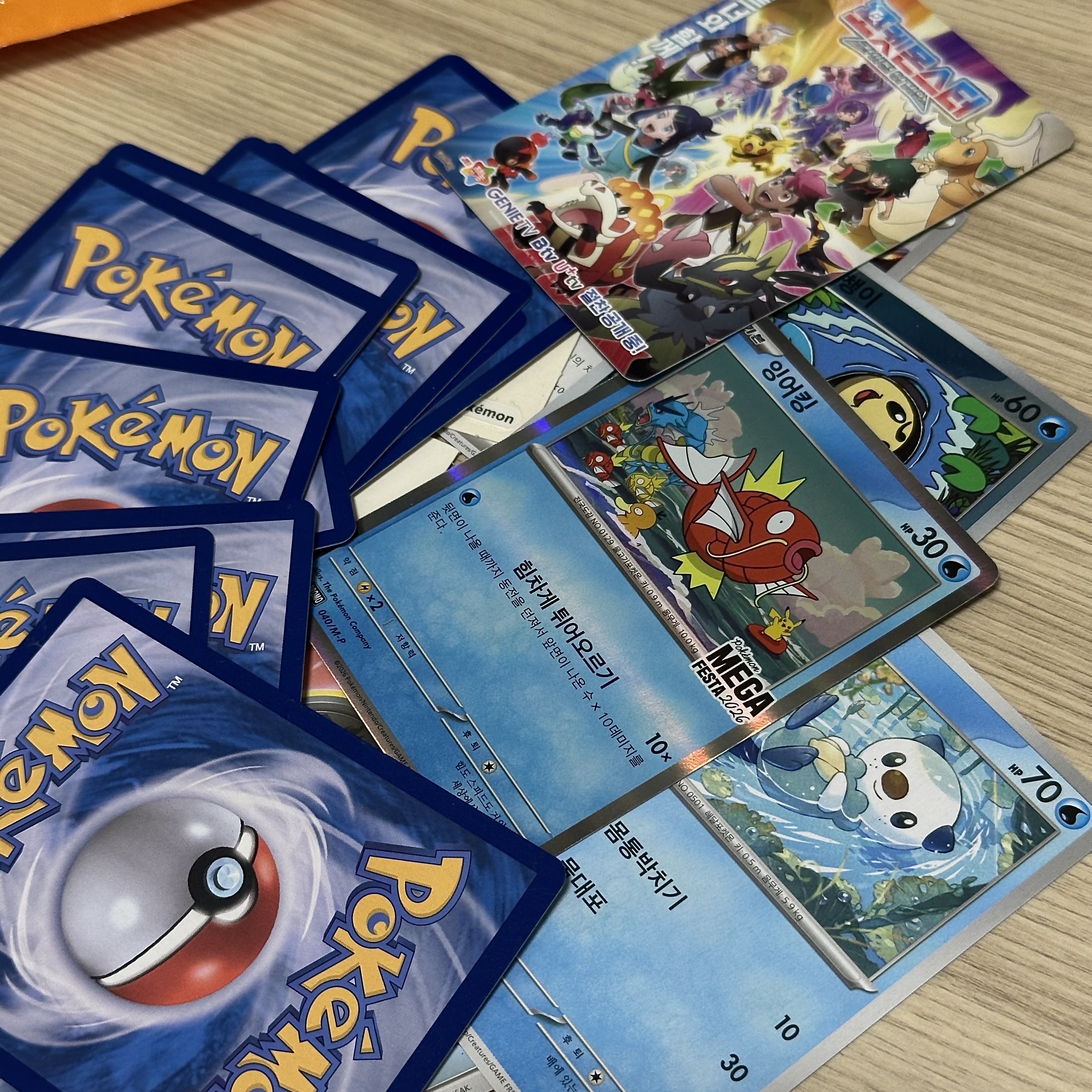 Pokemon TCG Mega Festa 2026 Promo Card Magikarp 착용 스타일