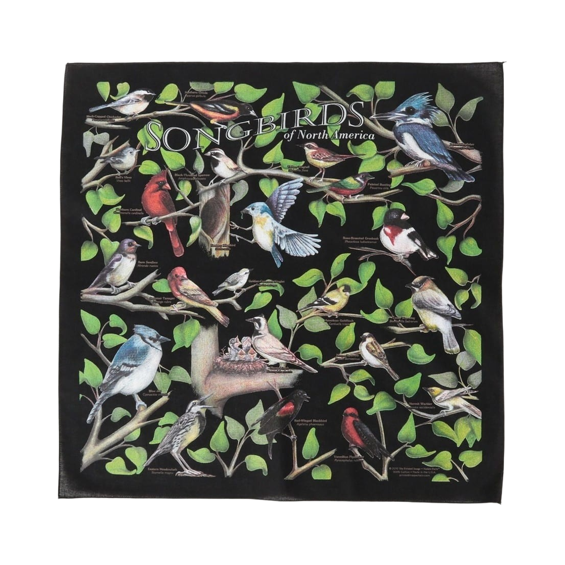 33-73-0187-965 bPr Beams The Printed Image Bandana Songbirds