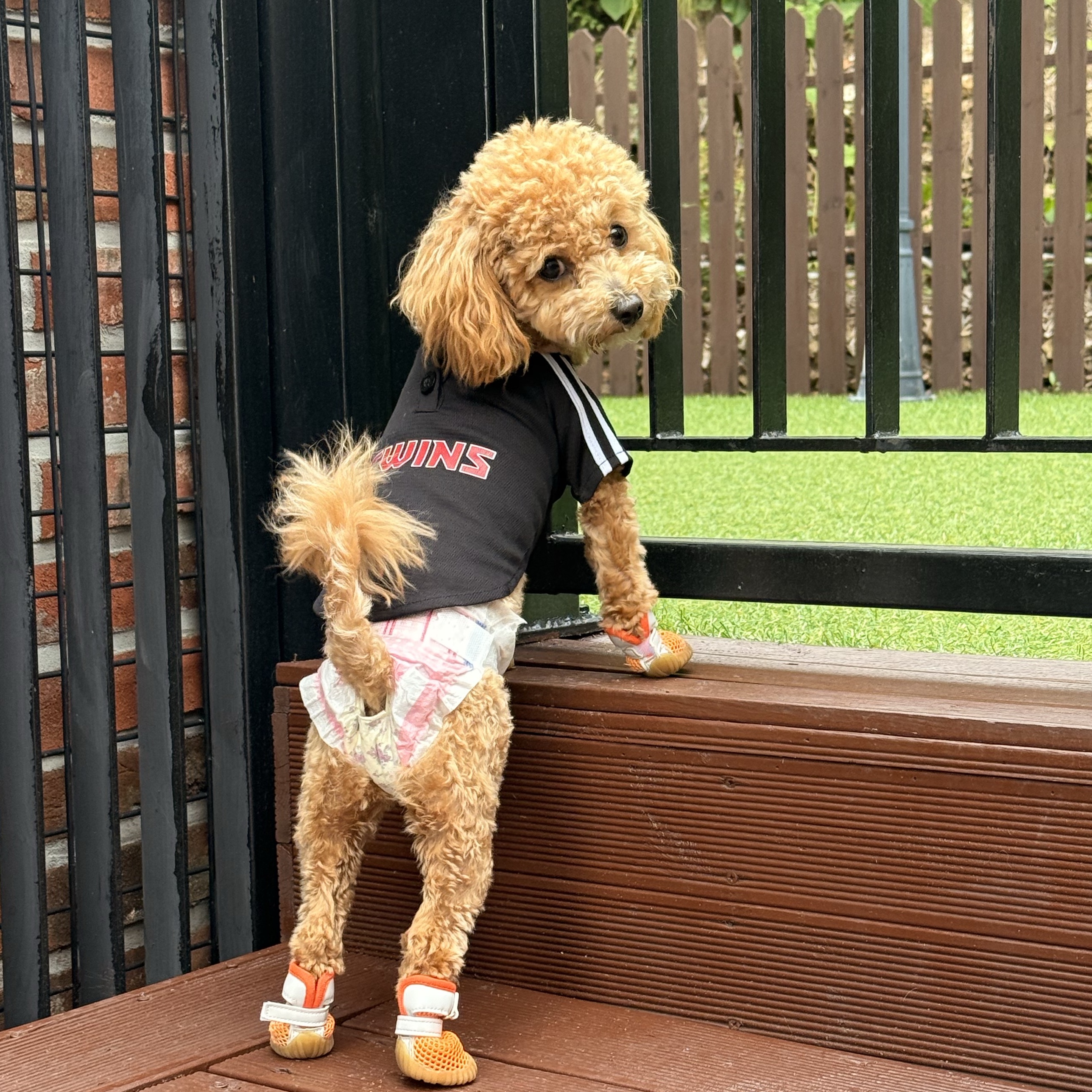 LG Twins x Tanning Hello Kitty Pink Pop Pet Jersey White Pink (Non Marking Ver.), LG Twins Expedition Pet Uniform Black (Non Marking Ver.) 착용 스타일 - 2