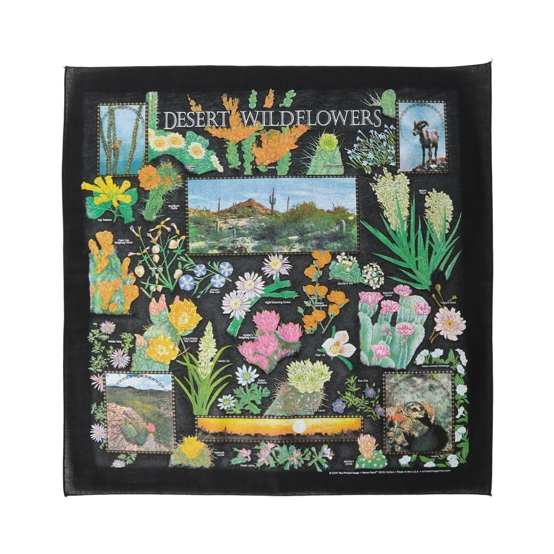 33-73-0187-965 bPr Beams The Printed Image Bandana Desert Wild Flowers