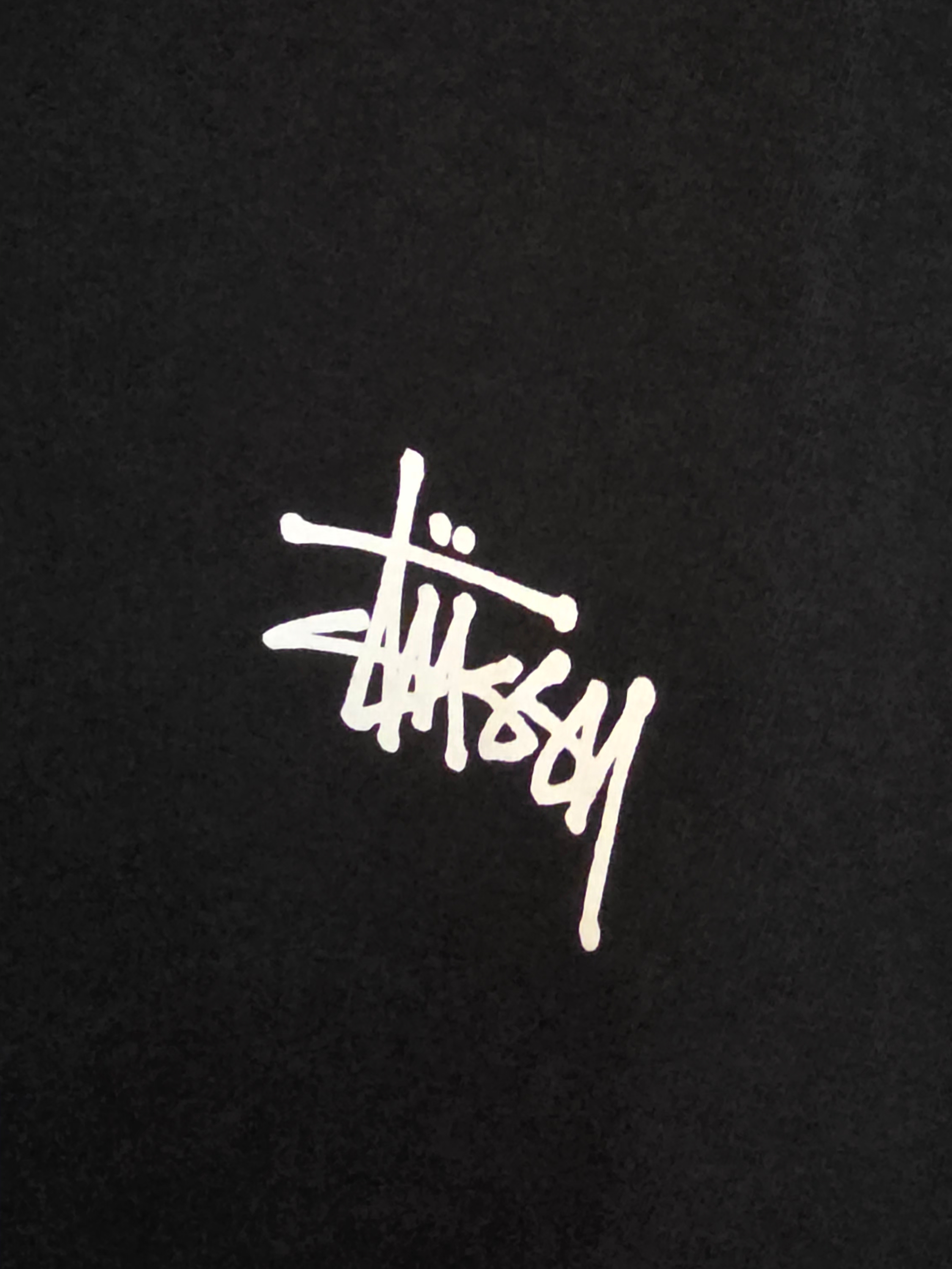 Stussy Basic Stussy T-Shirt Black 2024, 2025 착용 스타일