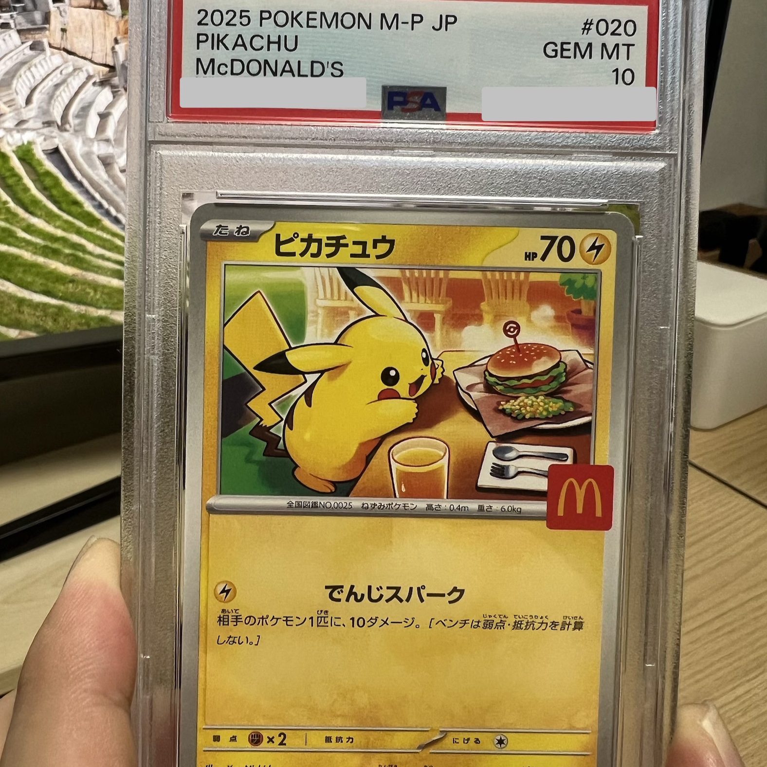 Pokemon TCG Pikachu P Mega Evolution Promos (Japanese Ver.) 착용 스타일