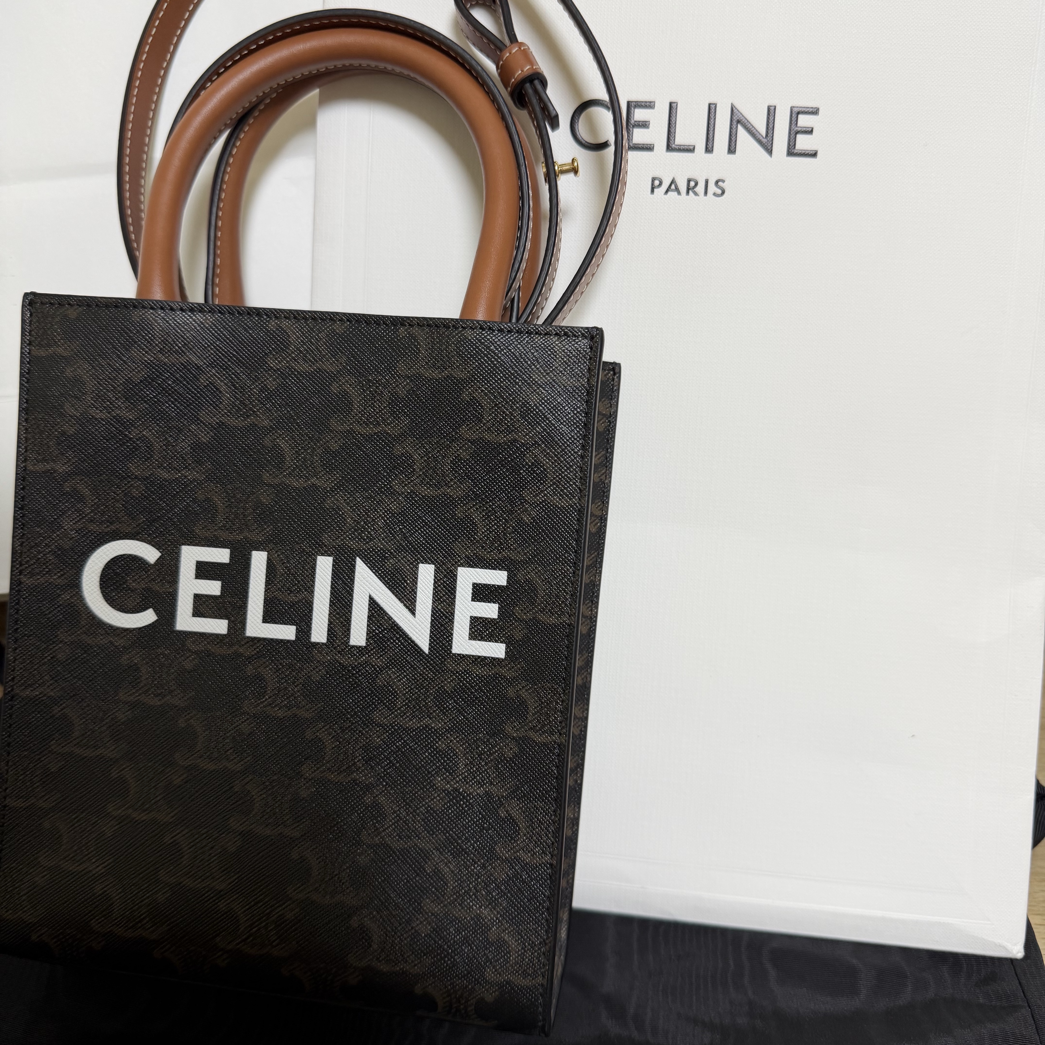 Celine Mini Vertical Cabas in Triomphe Canvas and Calfskin with Celine Print Tan 착용 스타일