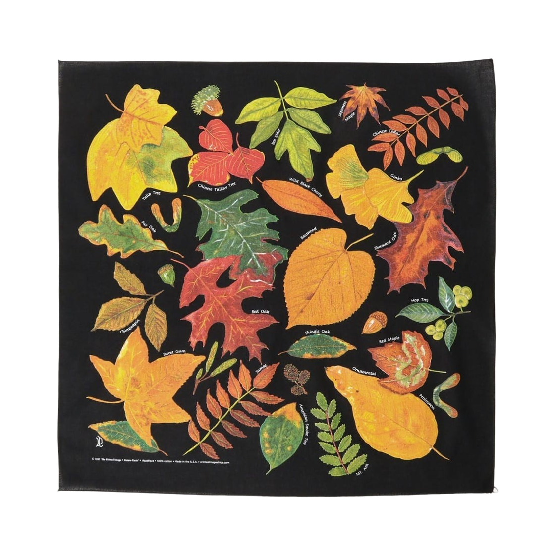 33-73-0187-965 bPr Beams The Printed Image Bandana Fall Leaves