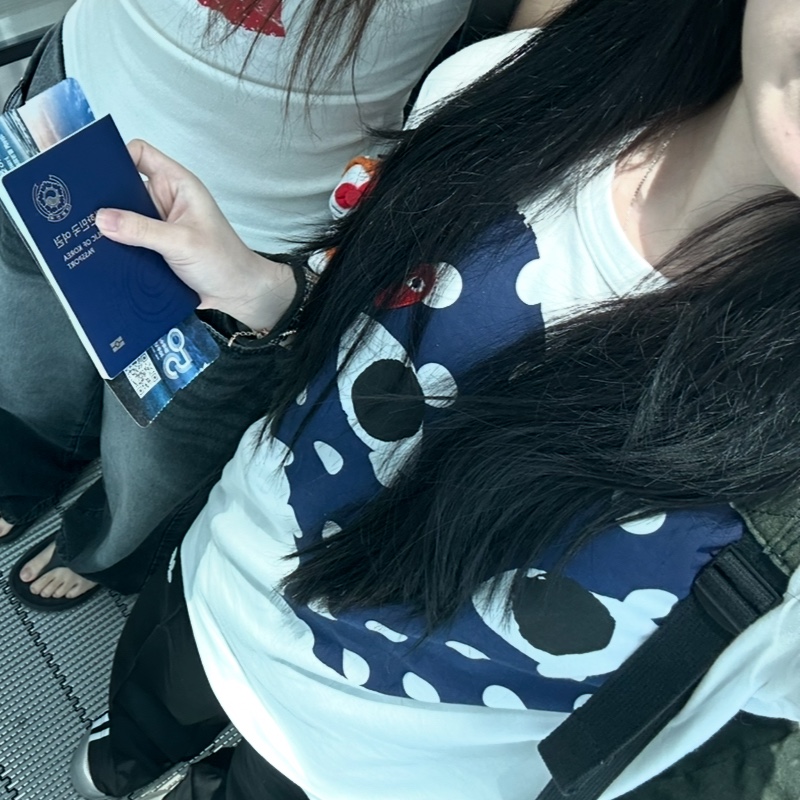 Play Comme des Garcons Red Heart Printed Blue Heart T-Shirt White, (W) Adidas Adicolor Classic Firebird Loose Track Pants Black - KR Sizing 착용 스타일 - 2
