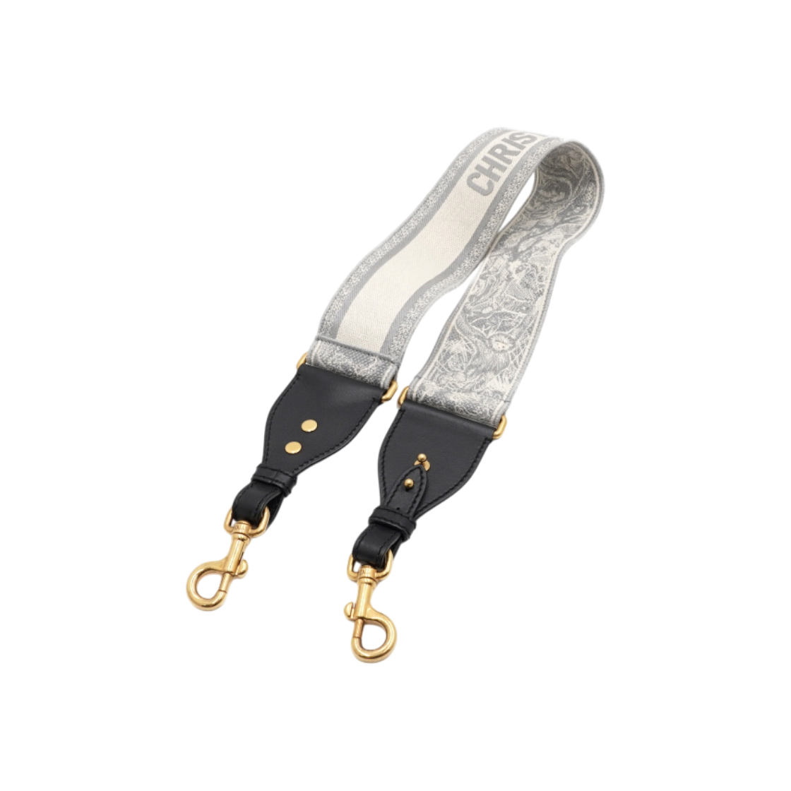 IT8725CW4VPI Dior S8540CWVF Gray Oblique Ring Shoulder Strap Bag