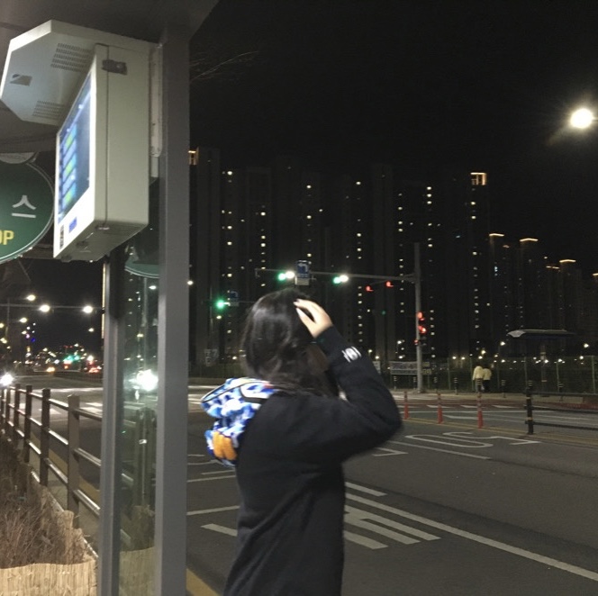 BAPE ABC Camo Reversible Shark Full Zip Hoodie Blue 착용 스타일 - 2