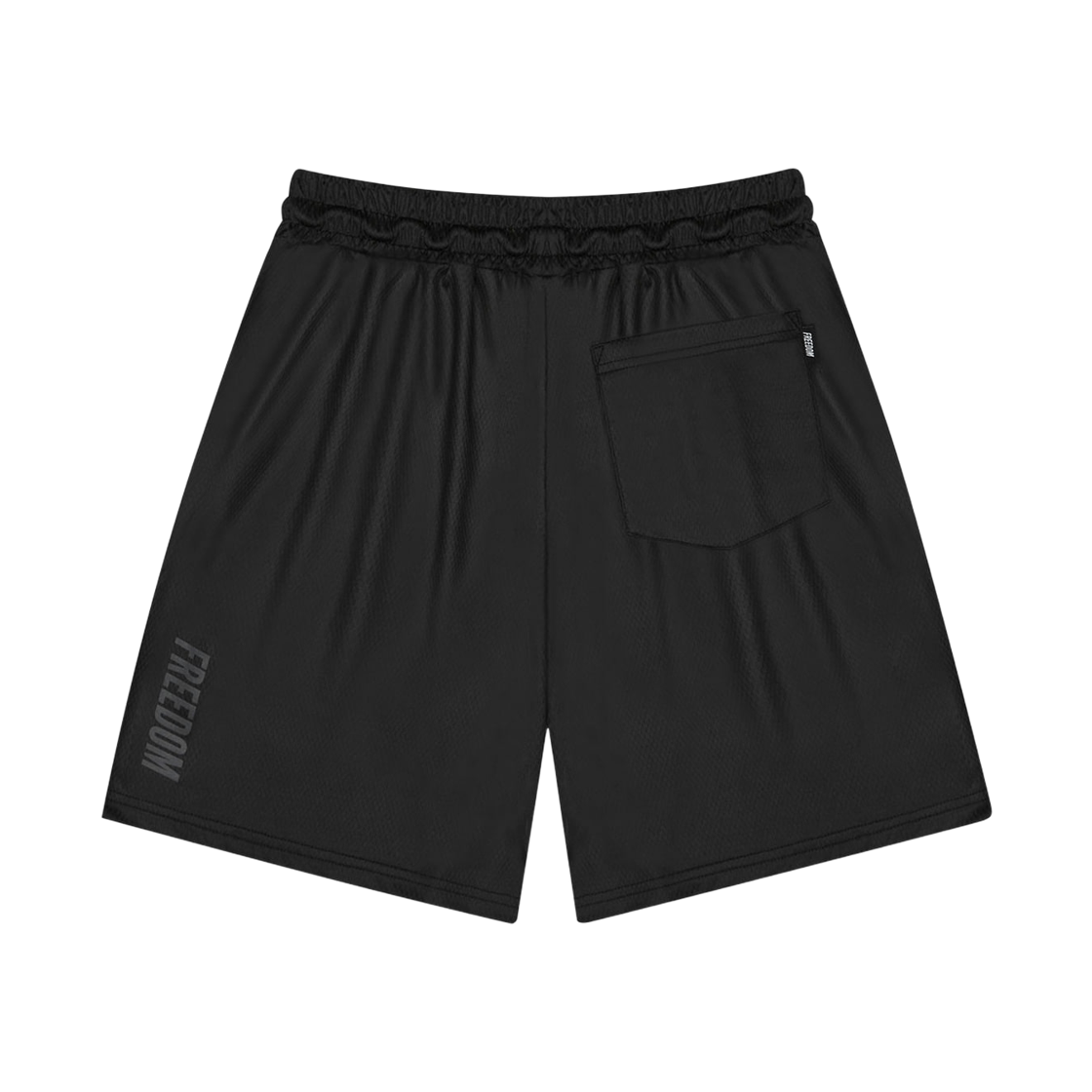 프리덤 코팅 메쉬 쇼츠 블랙(FREEDOM Coating Mesh Shorts Black) - 2