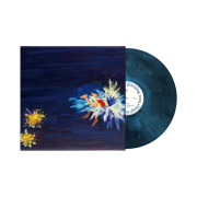 Kim Hyun Chang My Blue Has Always Been Shattered By The Night LP Black Sky Blue